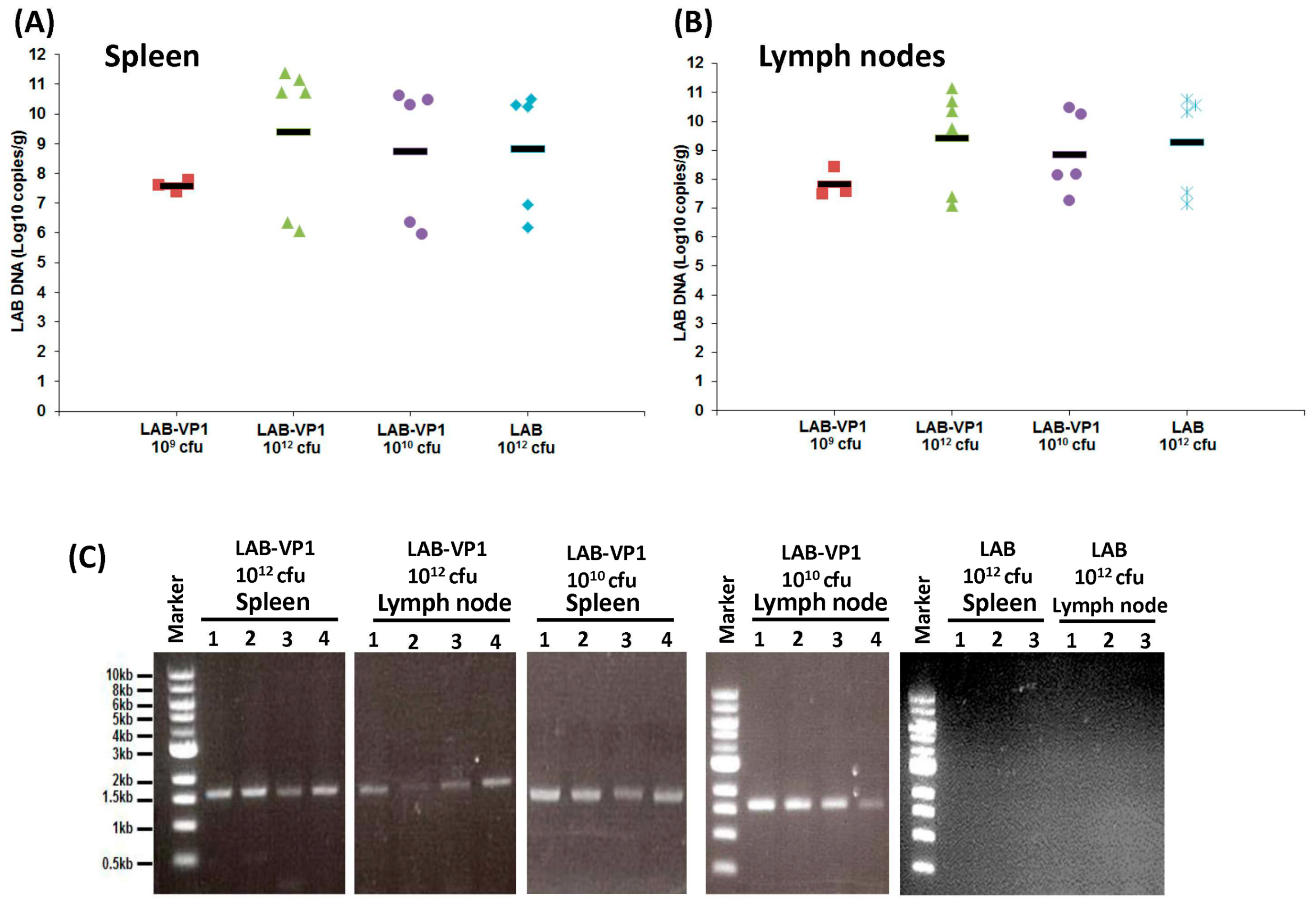 Viruses 11 00213 g011
