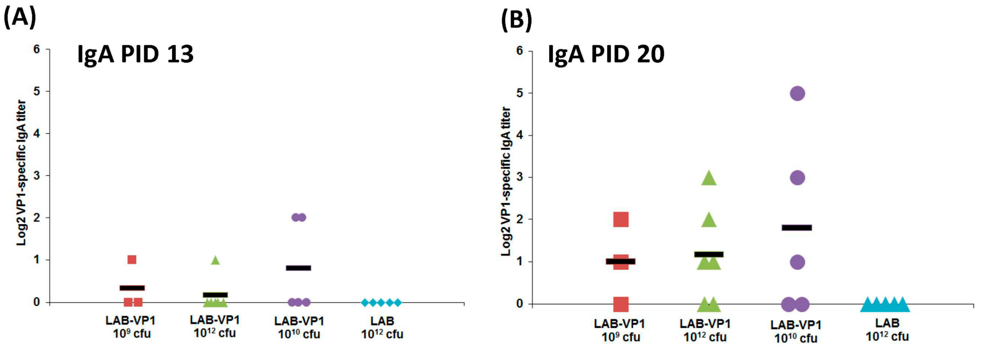 Viruses 11 00213 g013