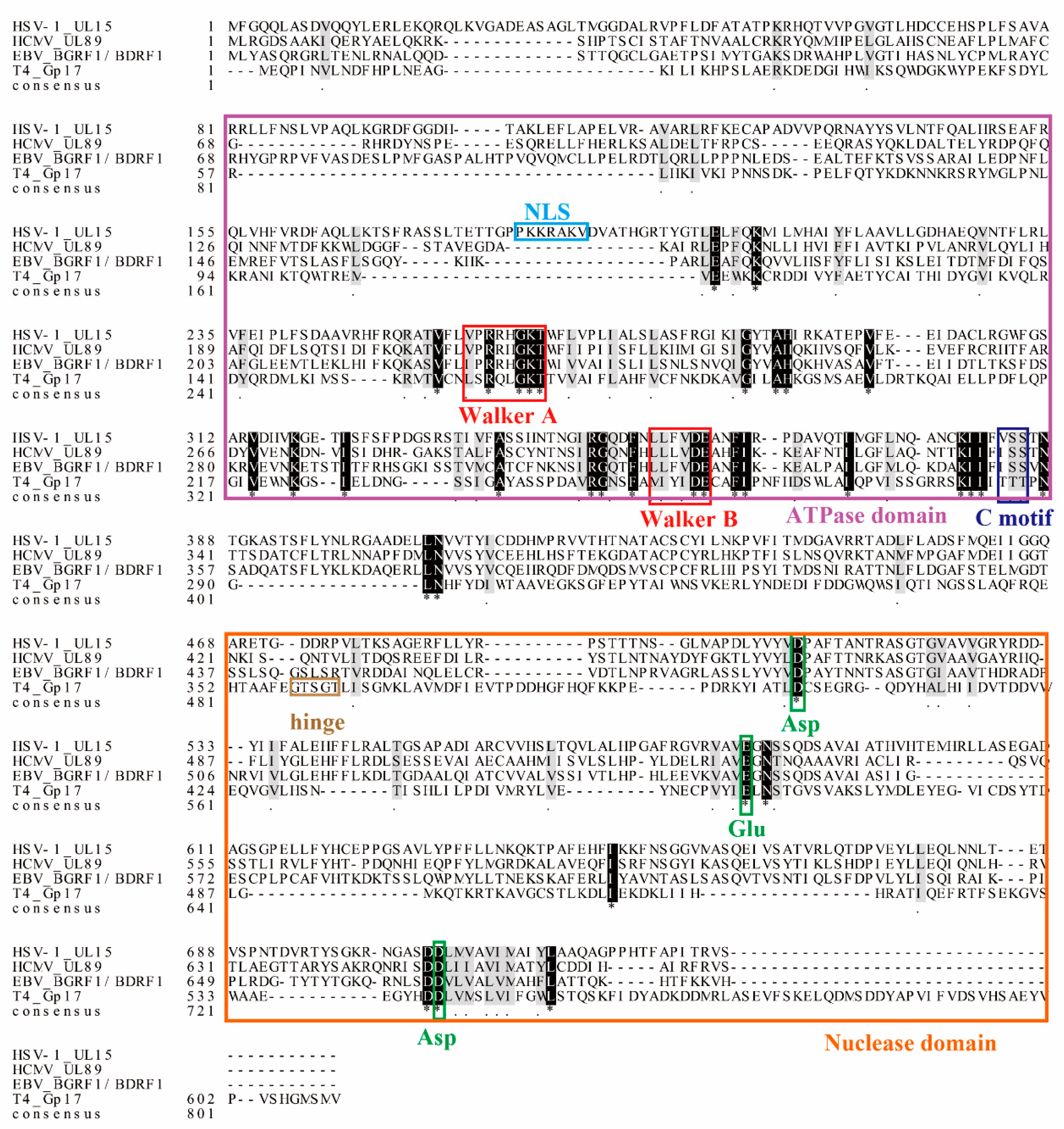 Viruses 11 00219 g003