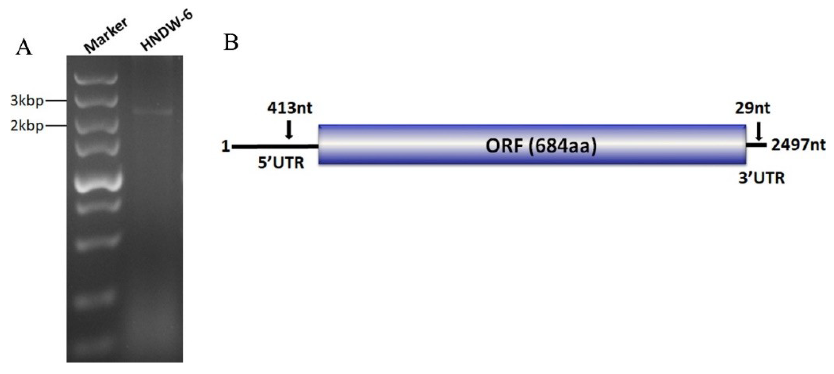 Viruses 11 00223 g001