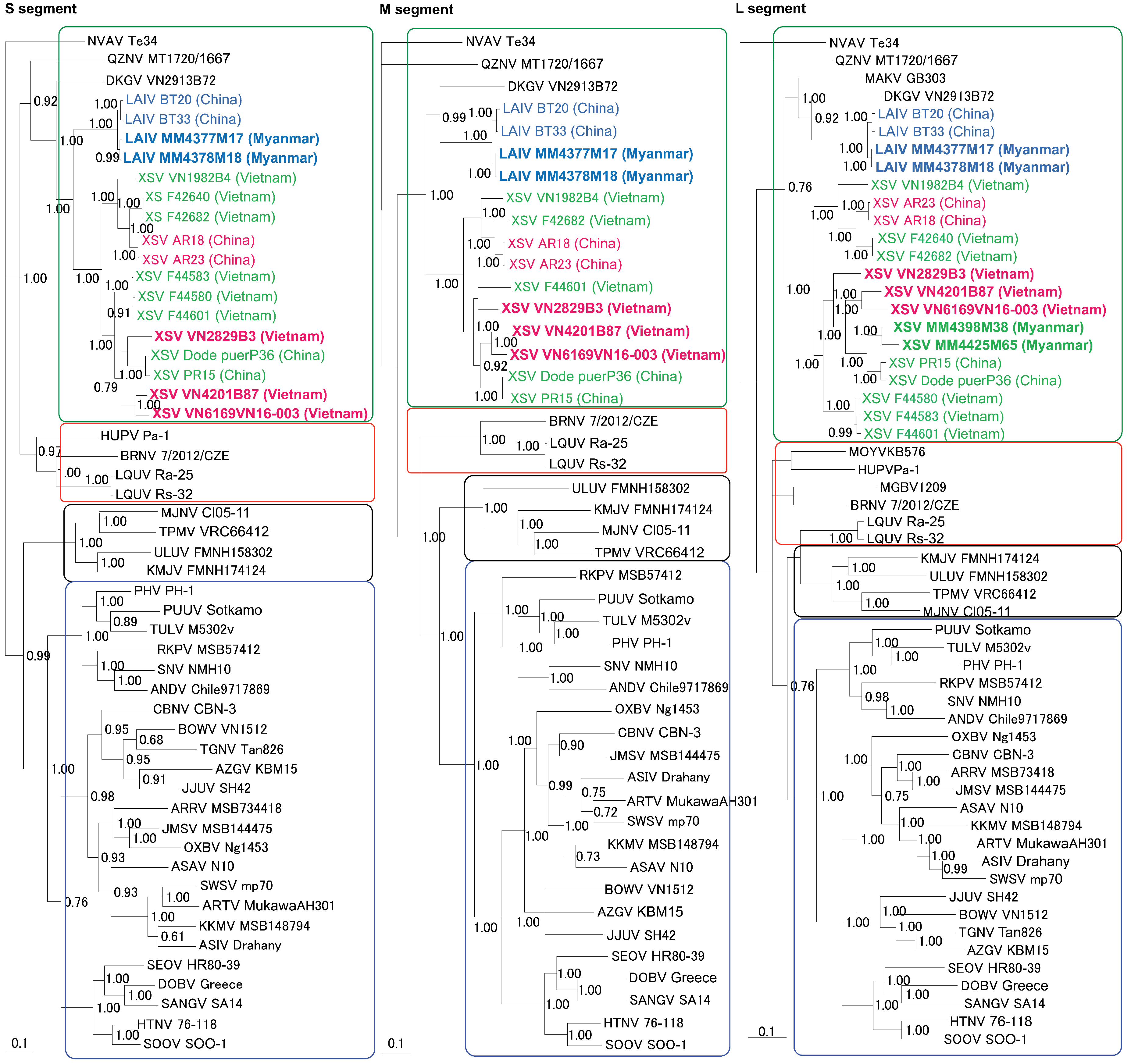 Viruses 11 00228 g003