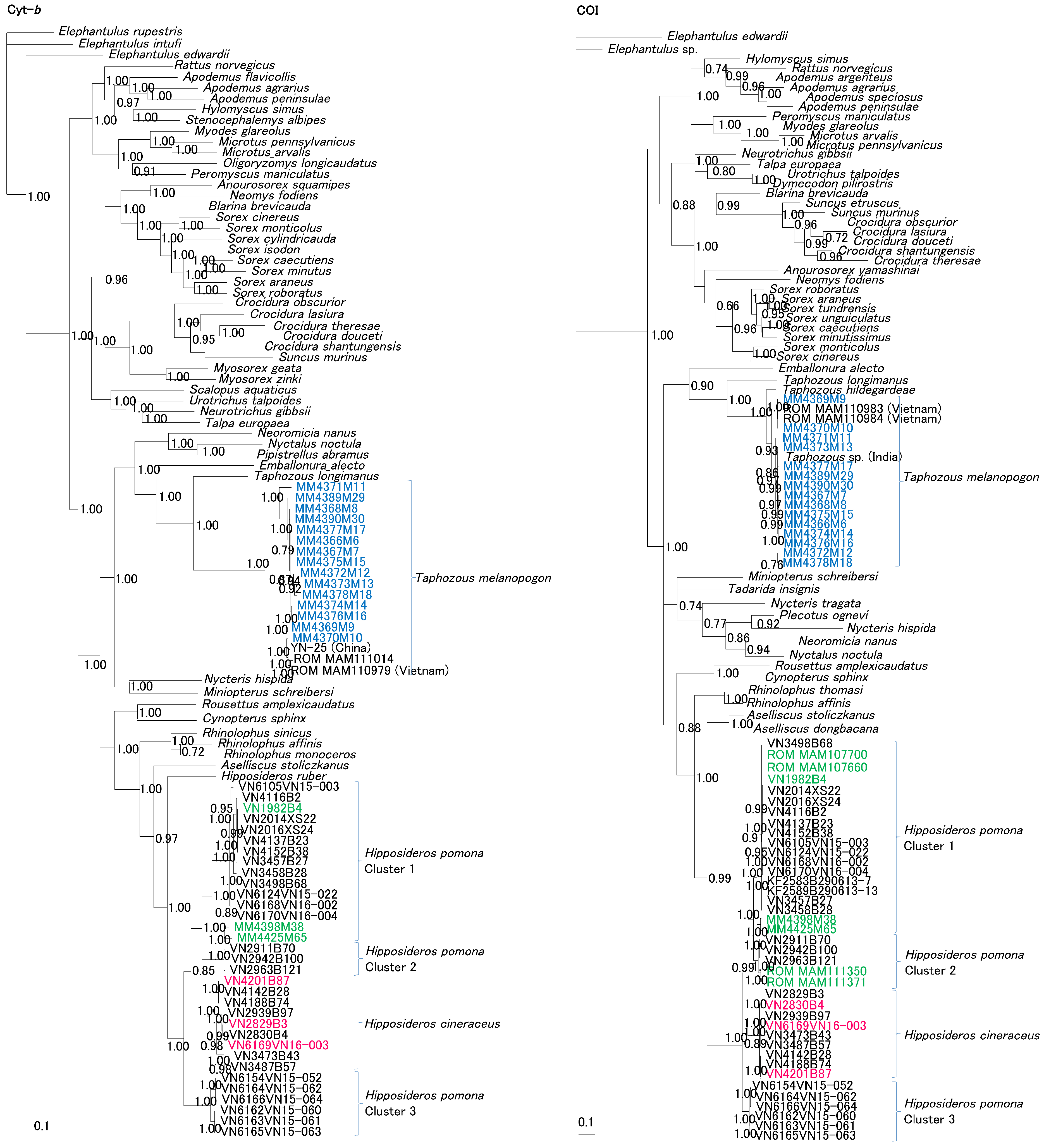 Viruses 11 00228 g004