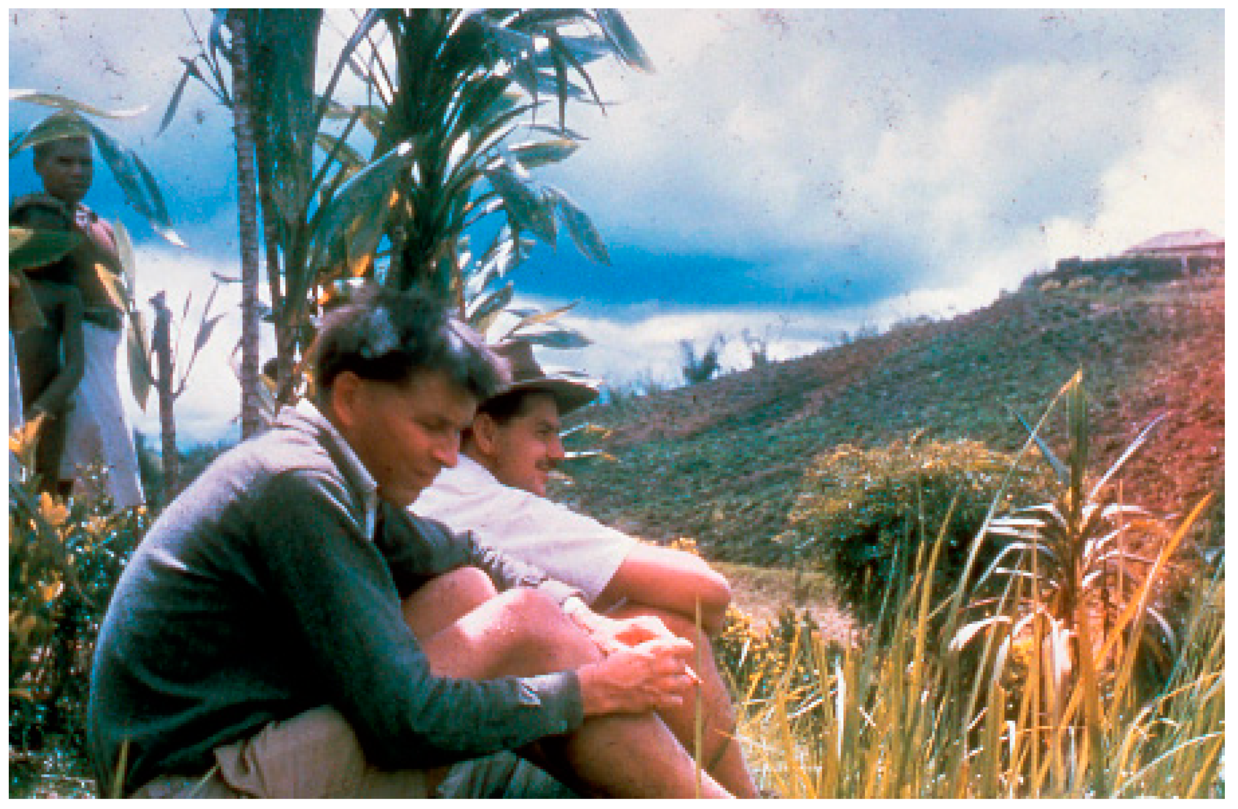 Viruses 11 00232 g001