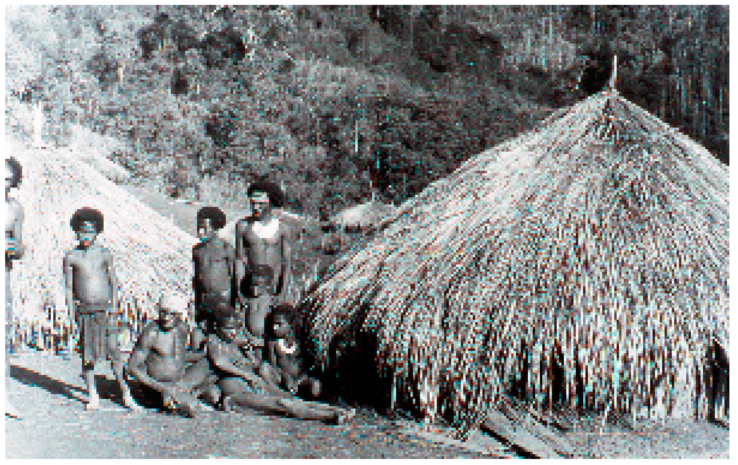 Viruses 11 00232 g003