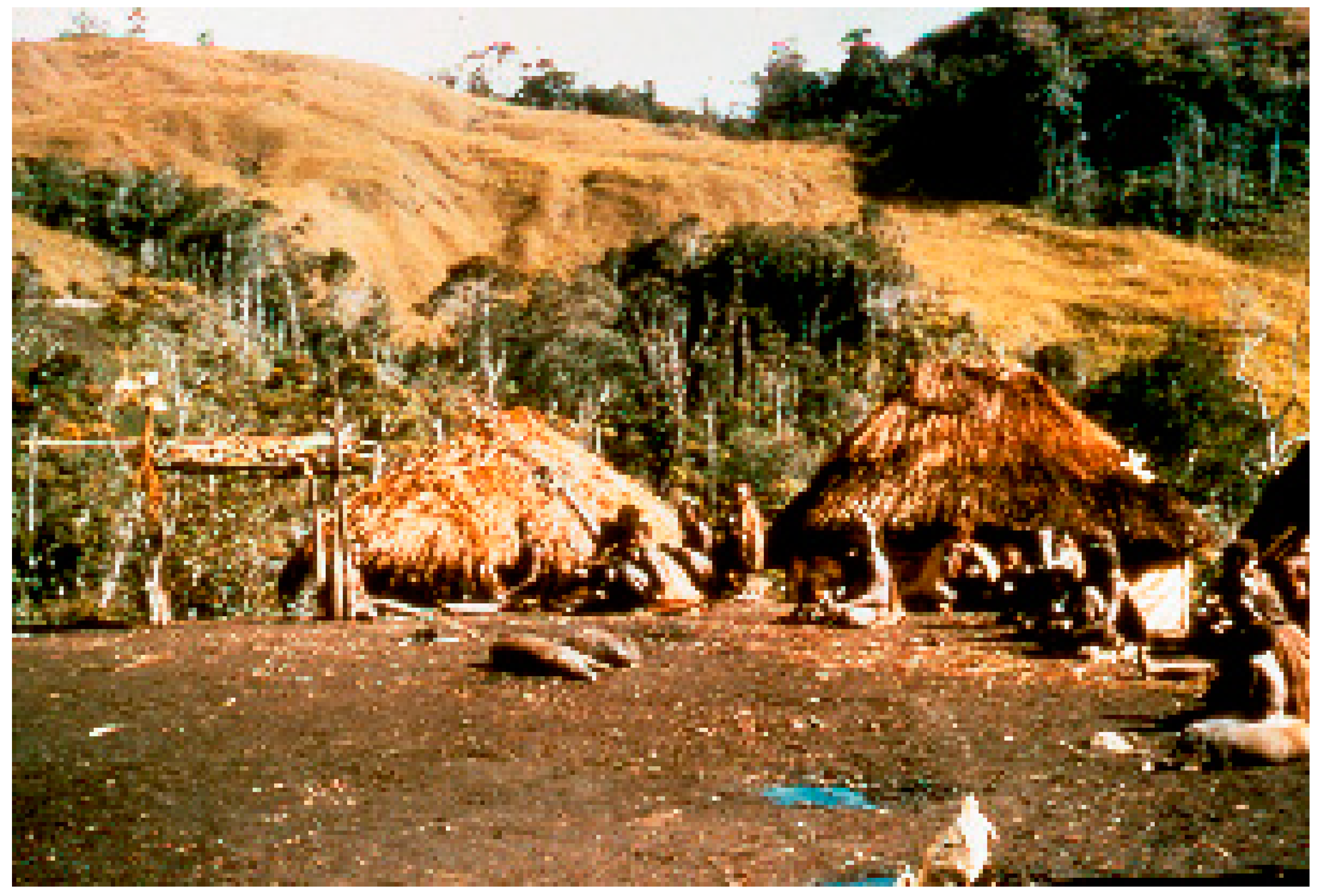 Viruses 11 00232 g004