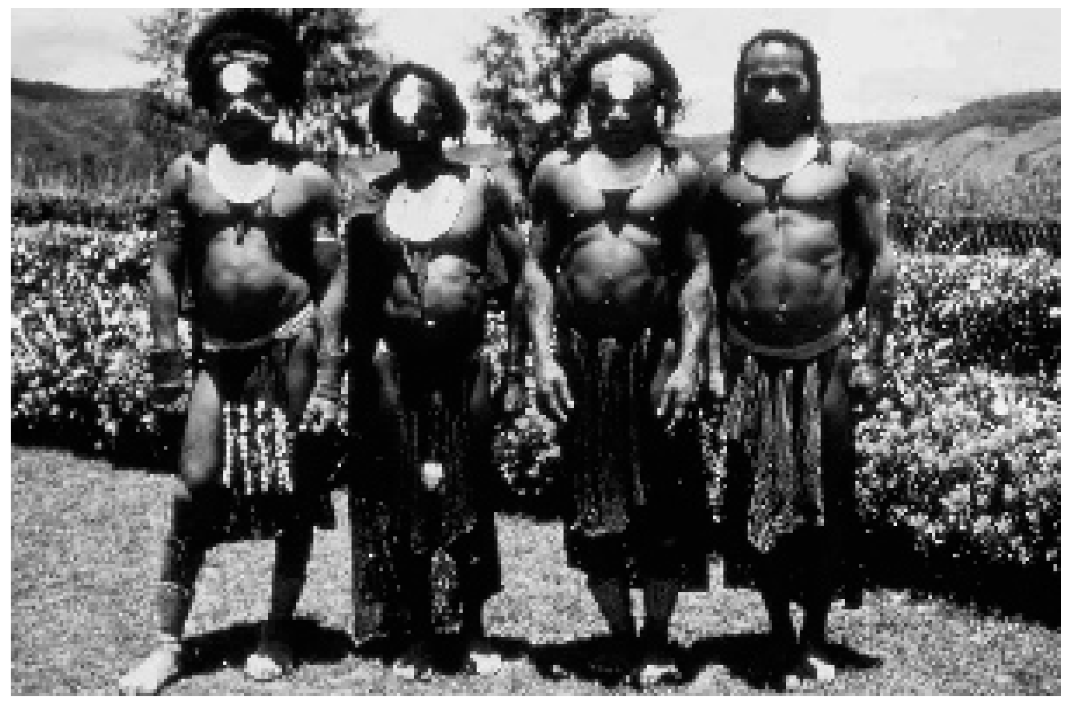 Viruses 11 00232 g006