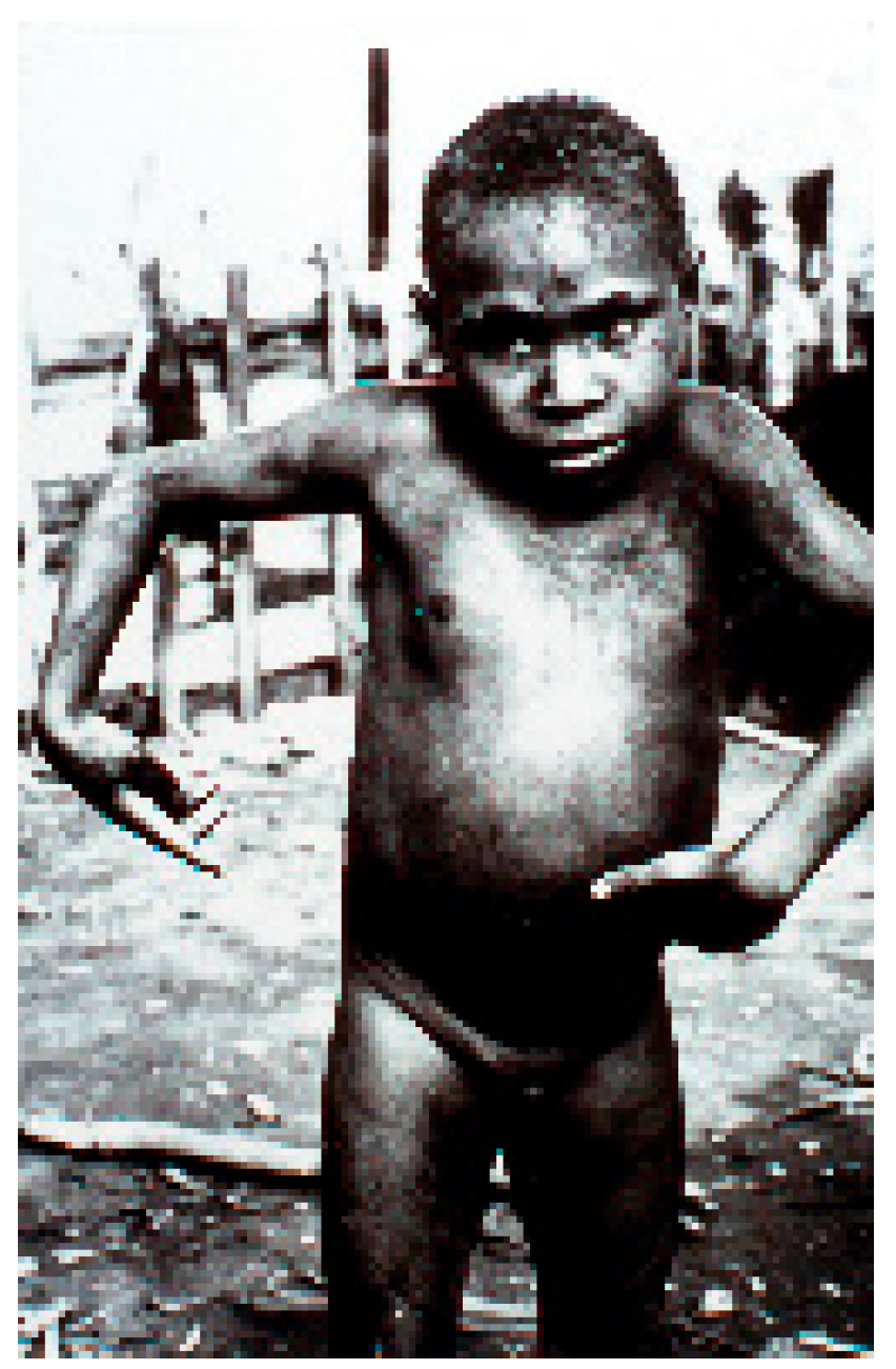 Viruses 11 00232 g008