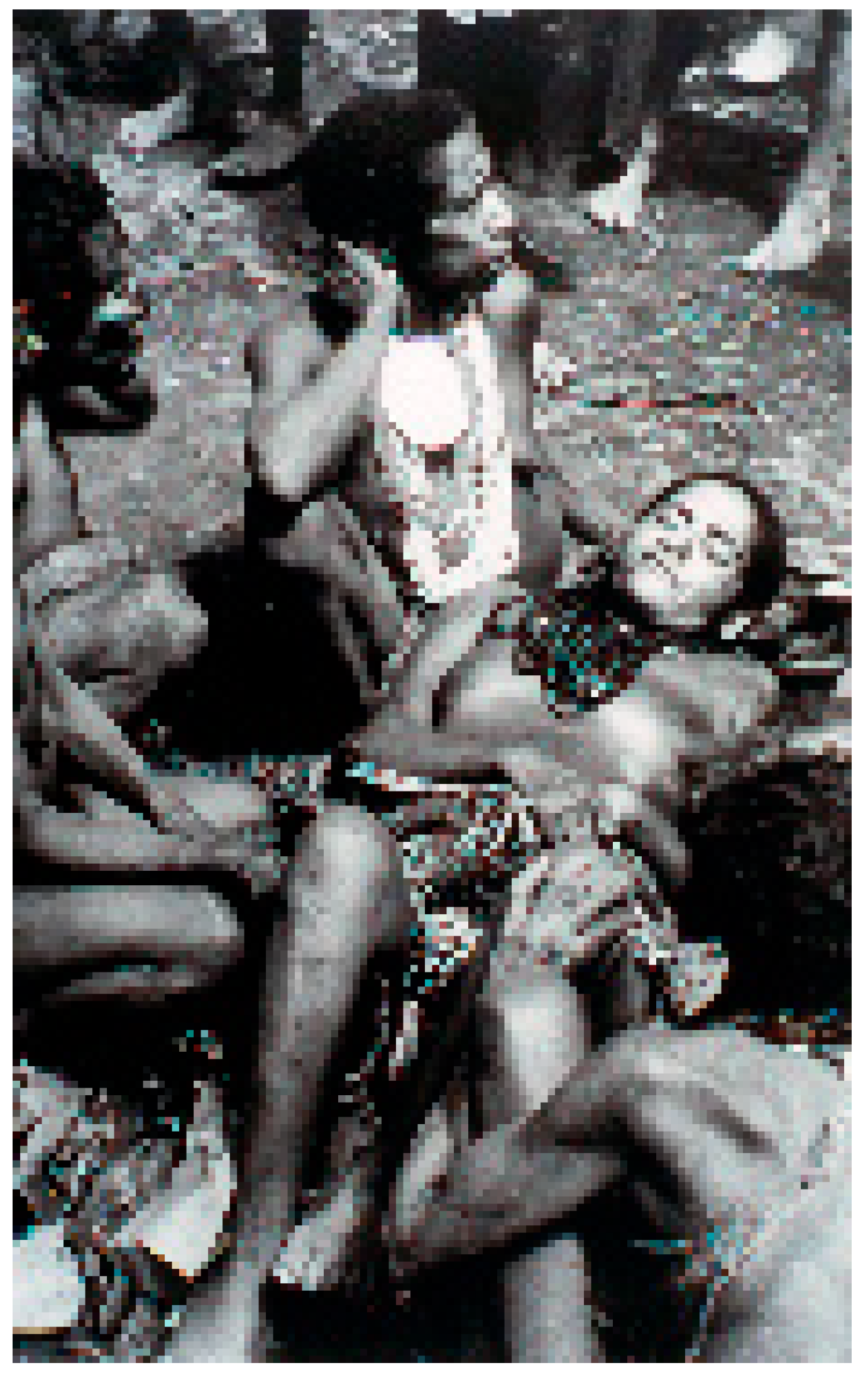 Viruses 11 00232 g012