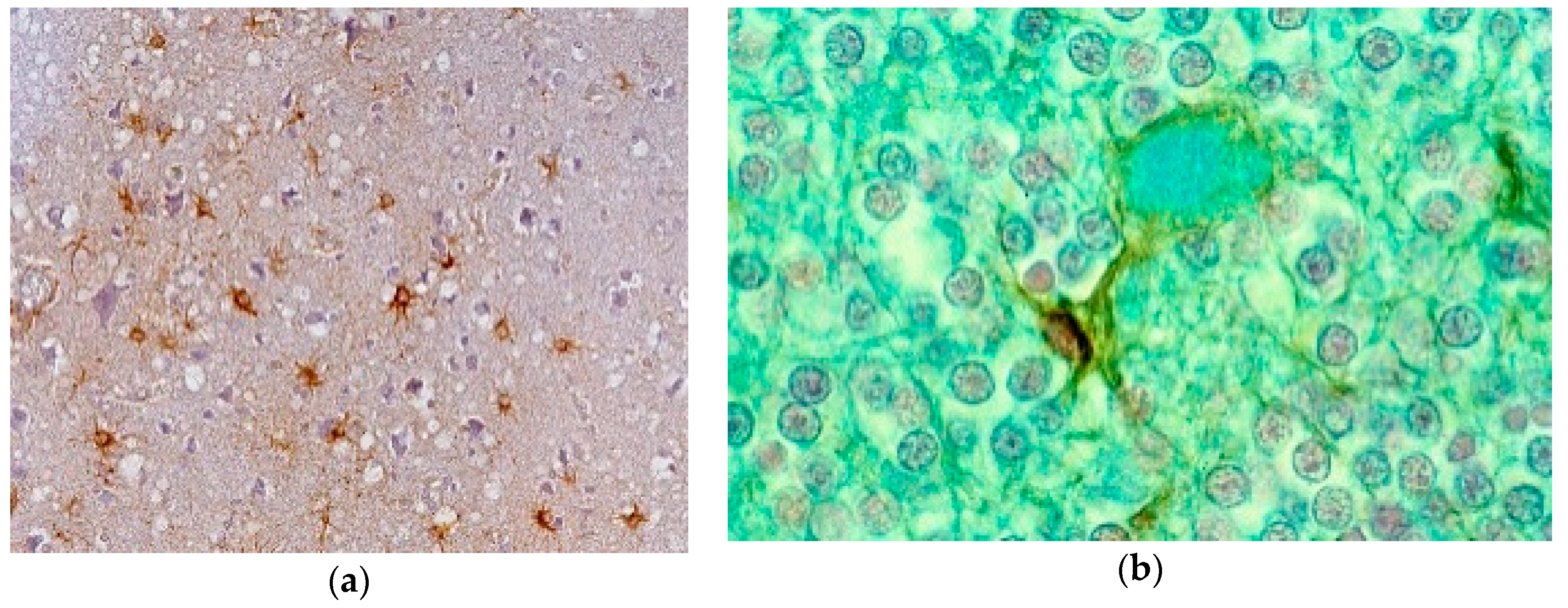 Viruses 11 00232 g015