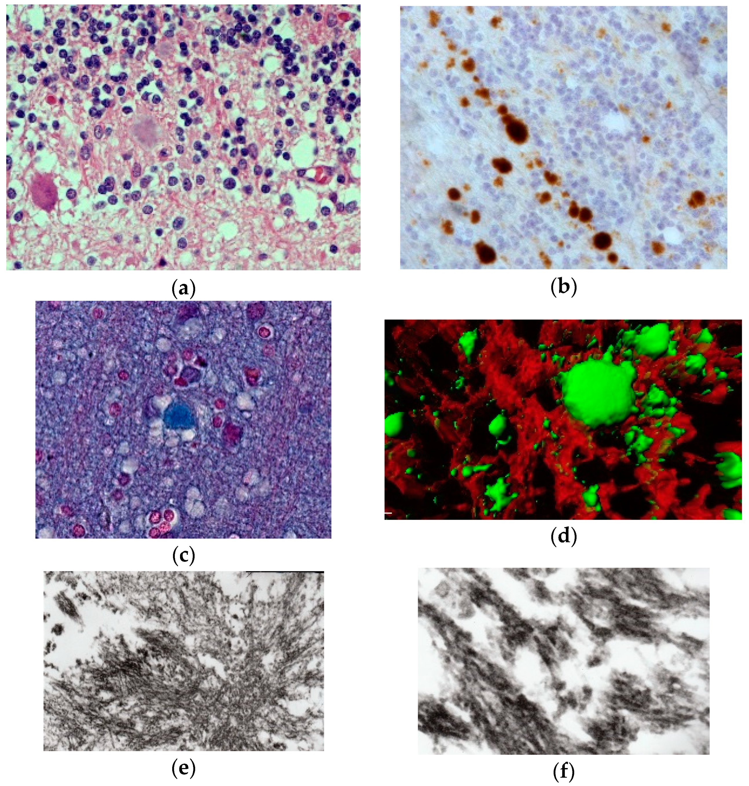 Viruses 11 00232 g016