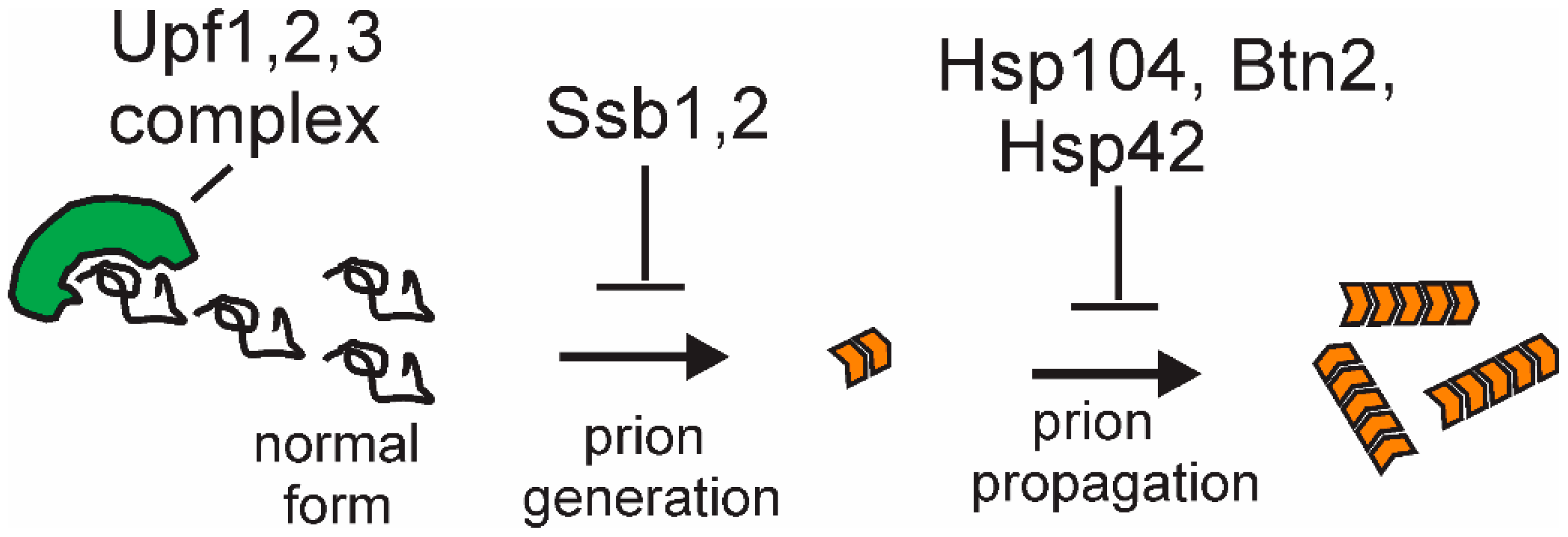 Viruses 11 00238 g005