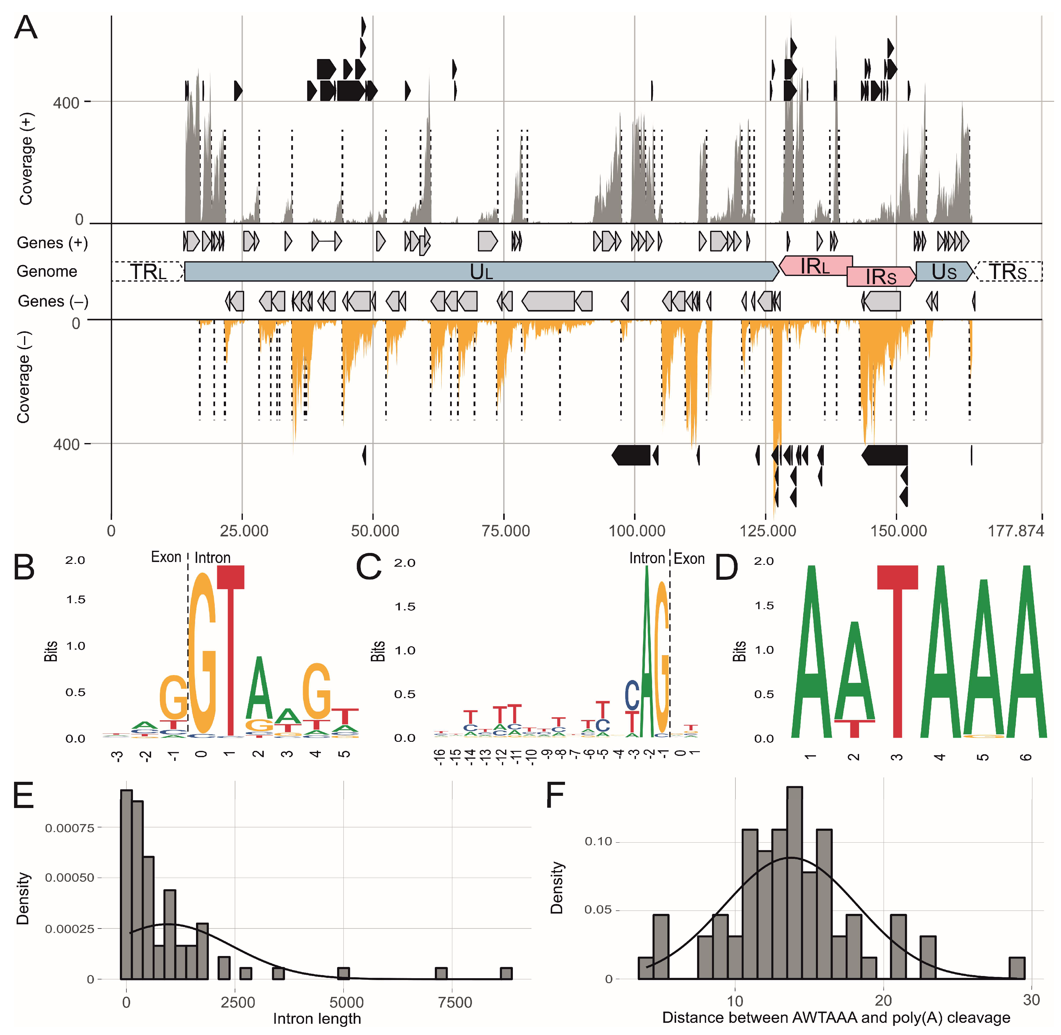 Viruses 11 00264 g002