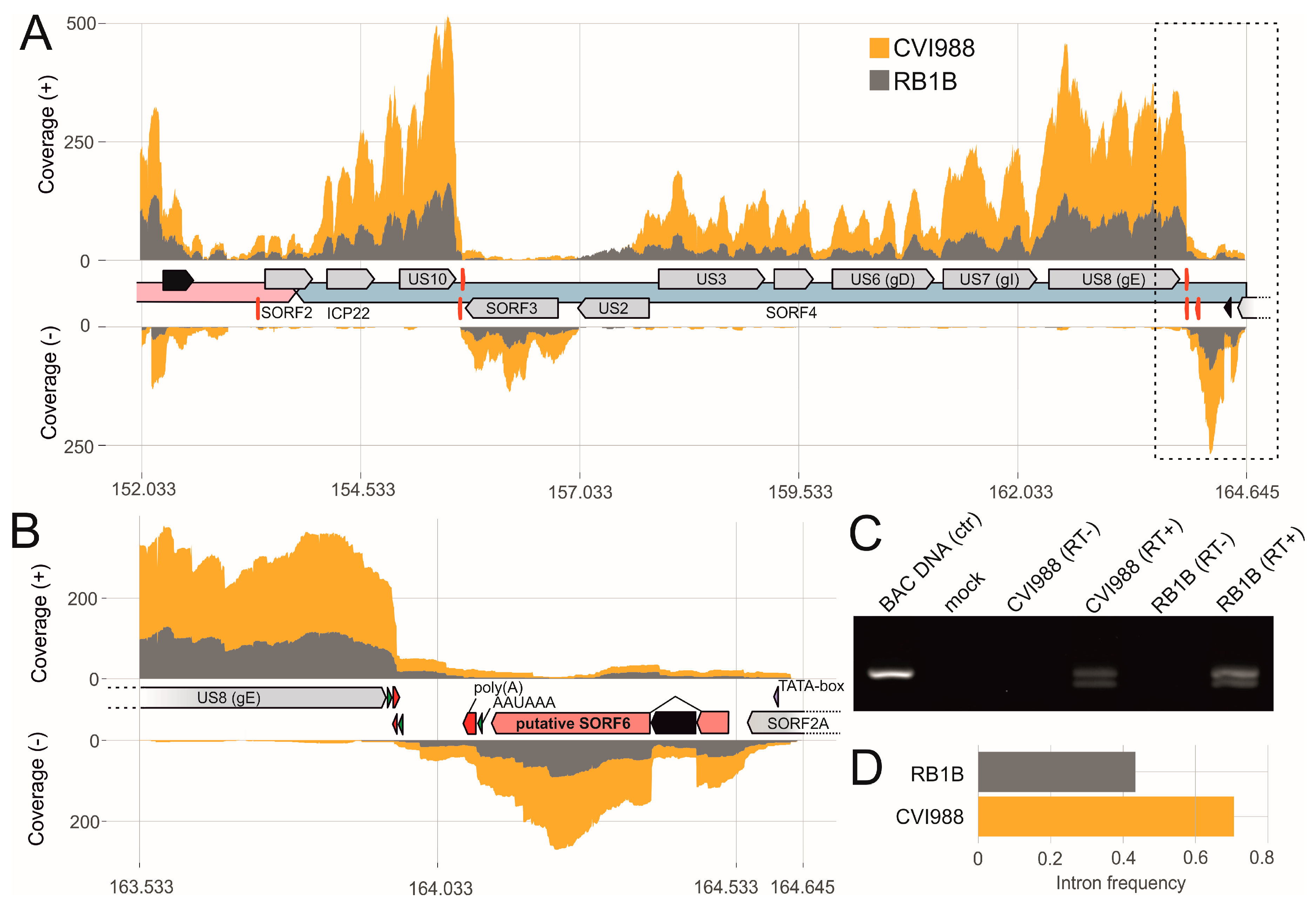 Viruses 11 00264 g005