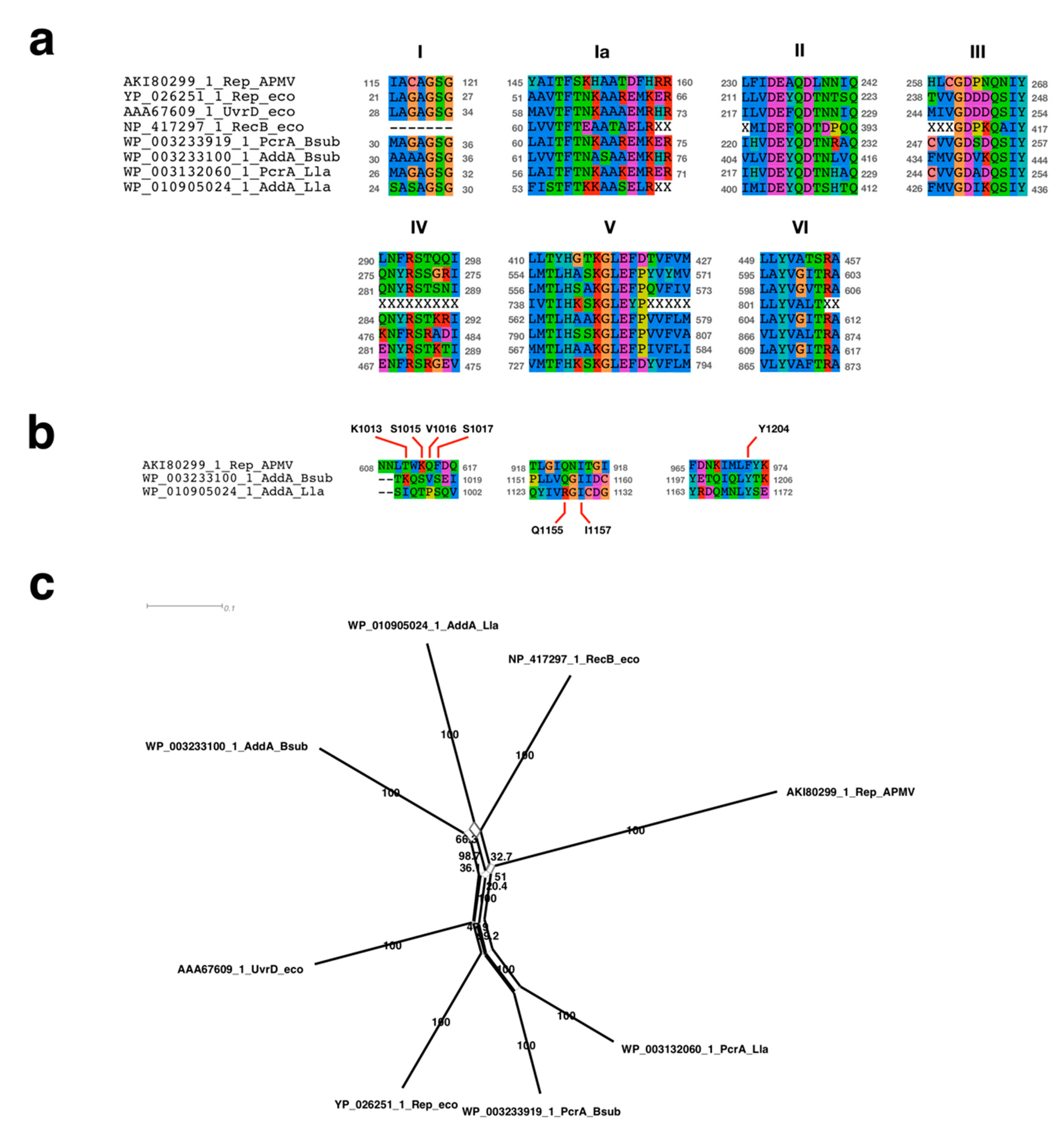 Viruses 11 00267 g004