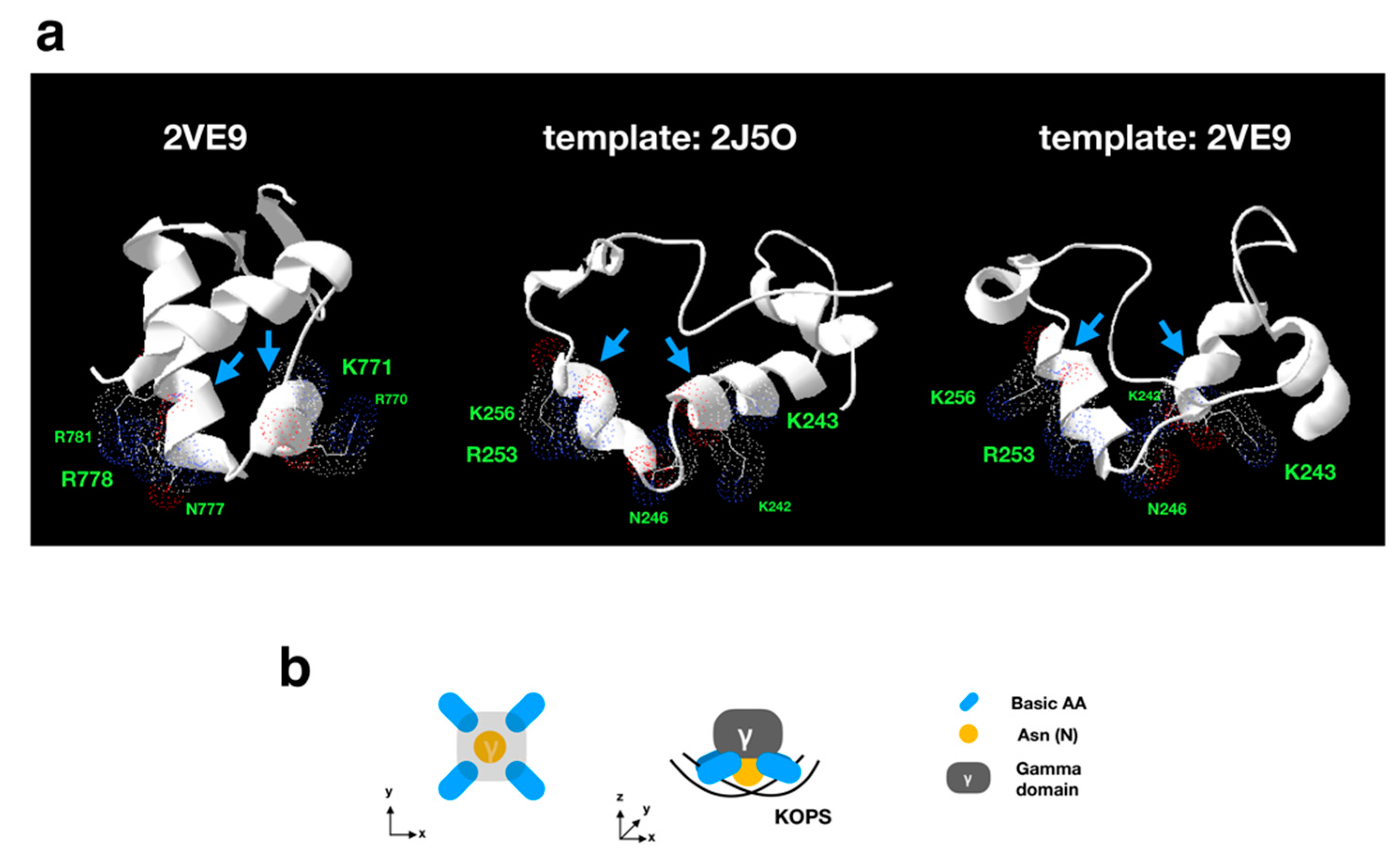 Viruses 11 00267 g008