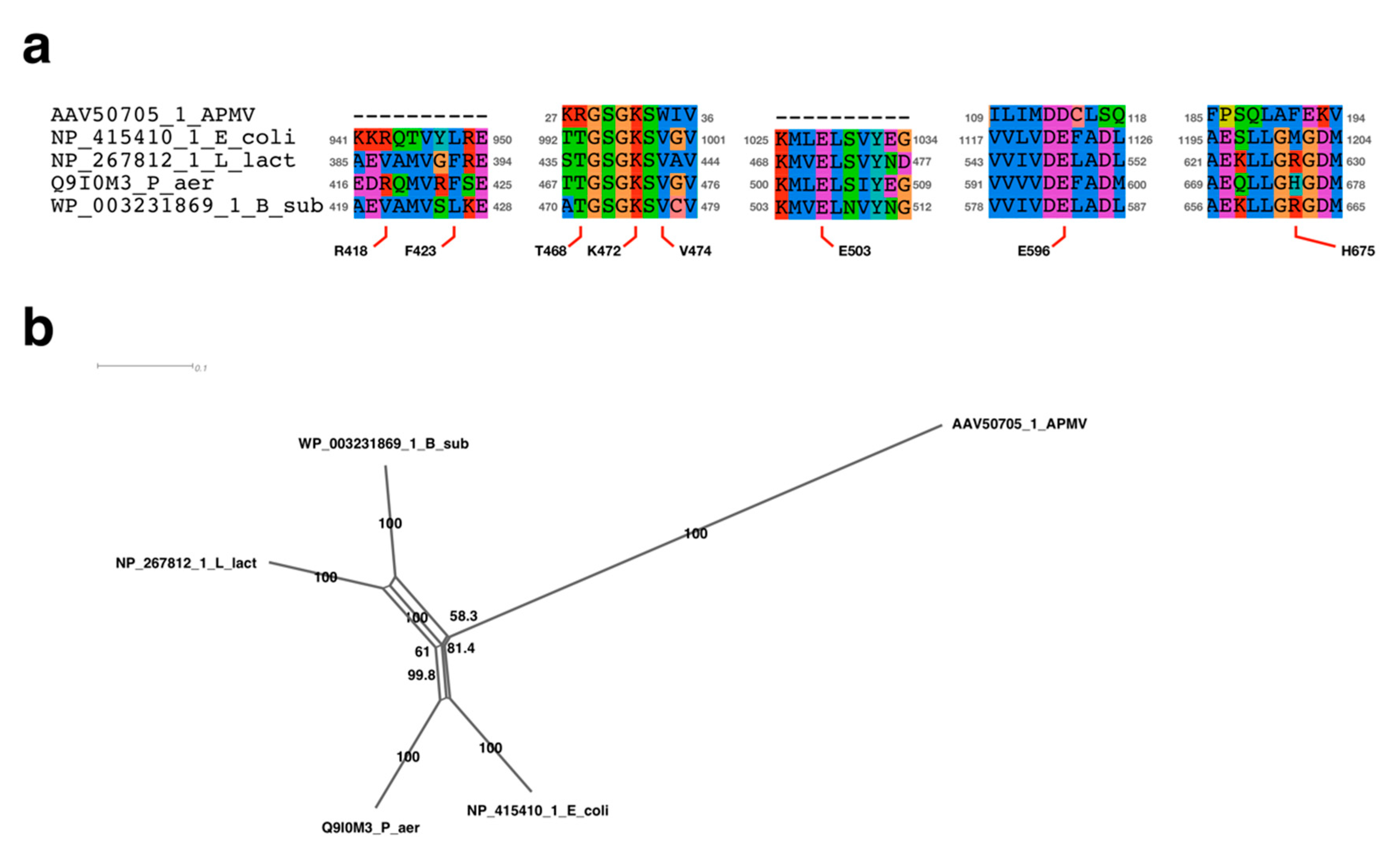 Viruses 11 00267 g009