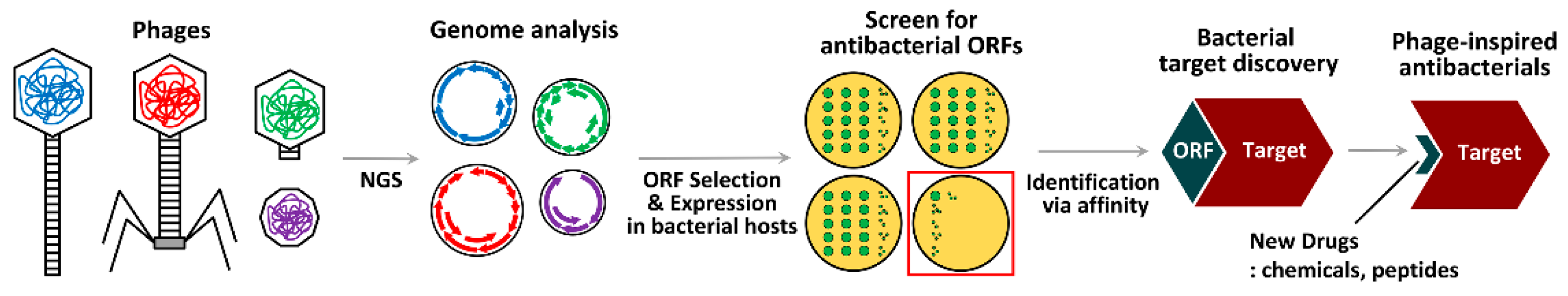 Viruses 11 00268 g004