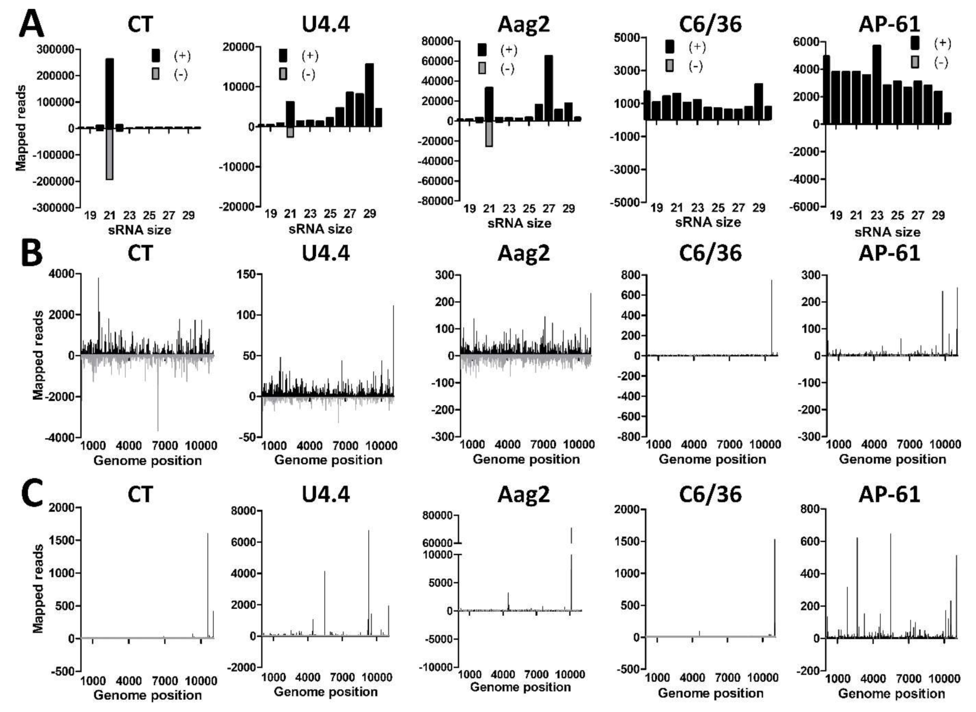 Viruses 11 00271 g005
