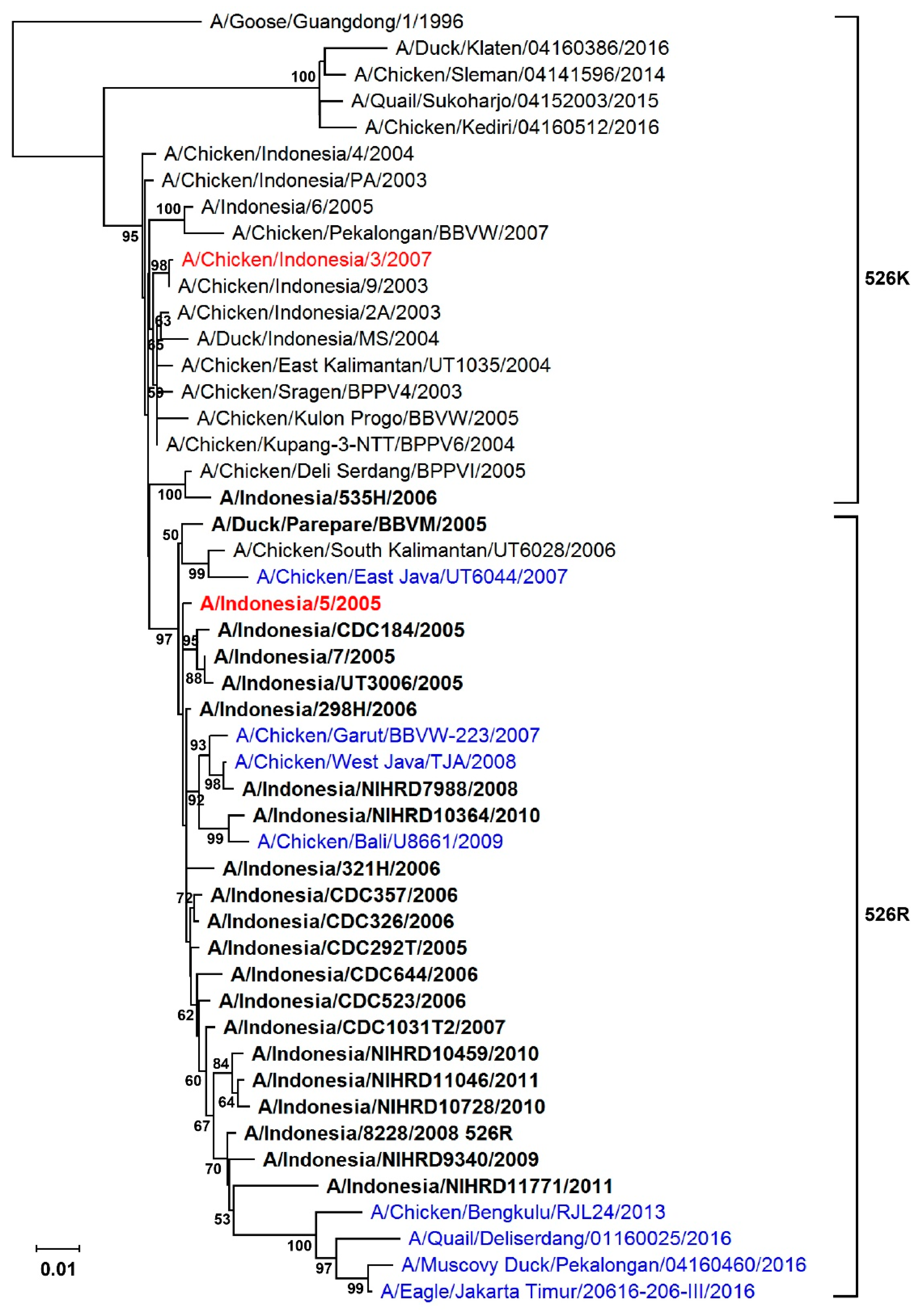 Viruses 11 00292 g001 Viruses 11 00292 g001