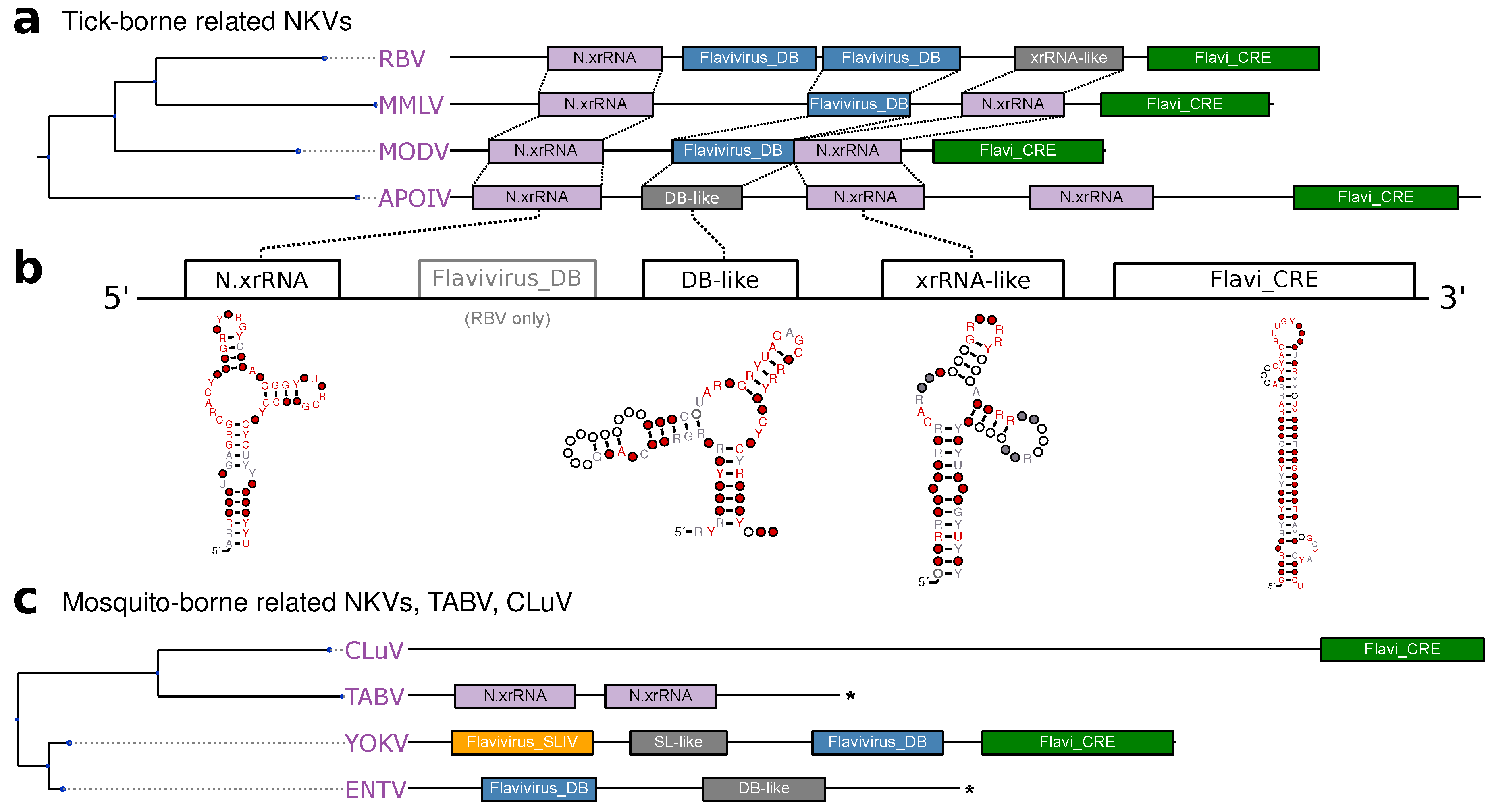 Viruses 11 00298 g006