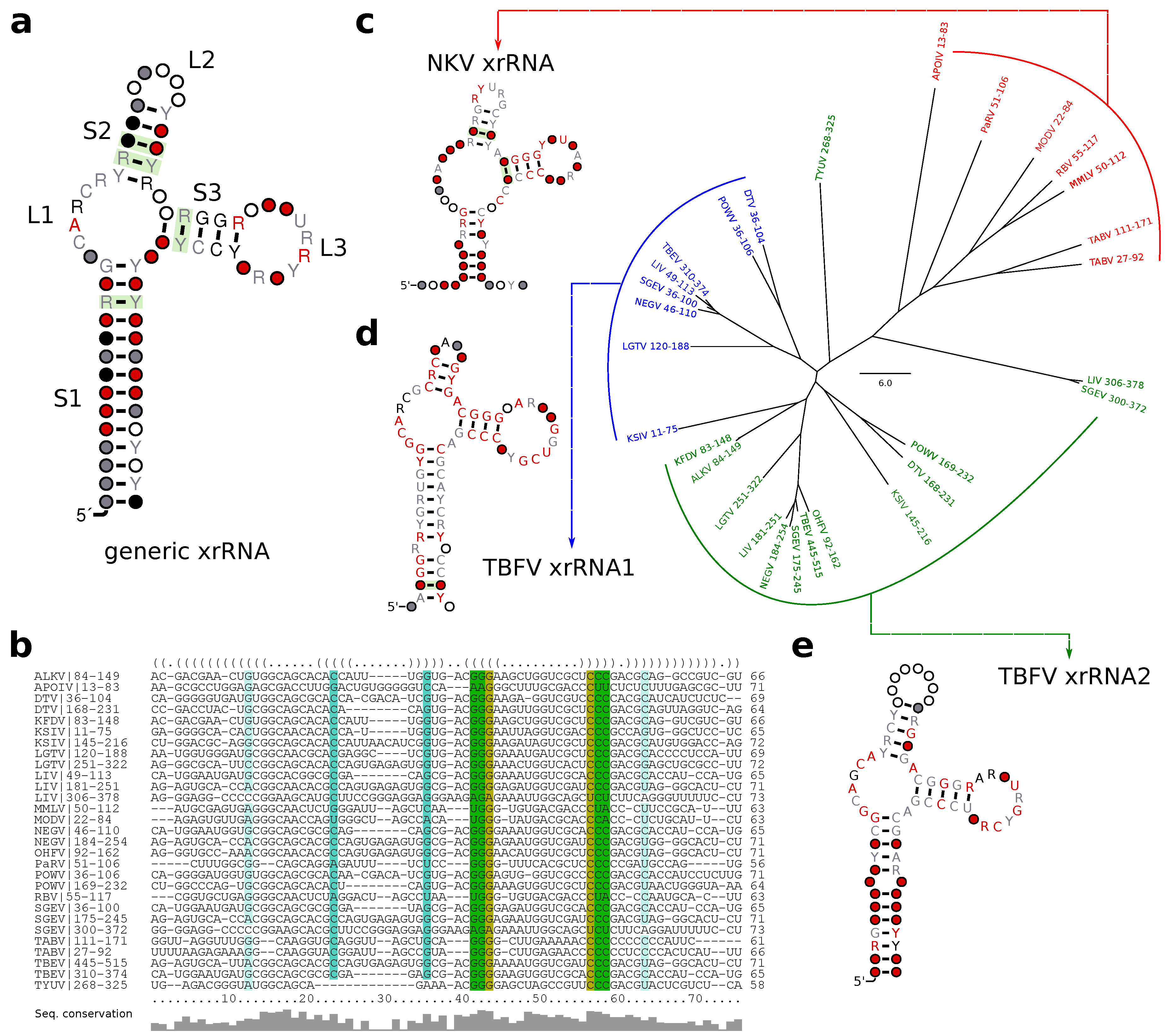 Viruses 11 00298 g007