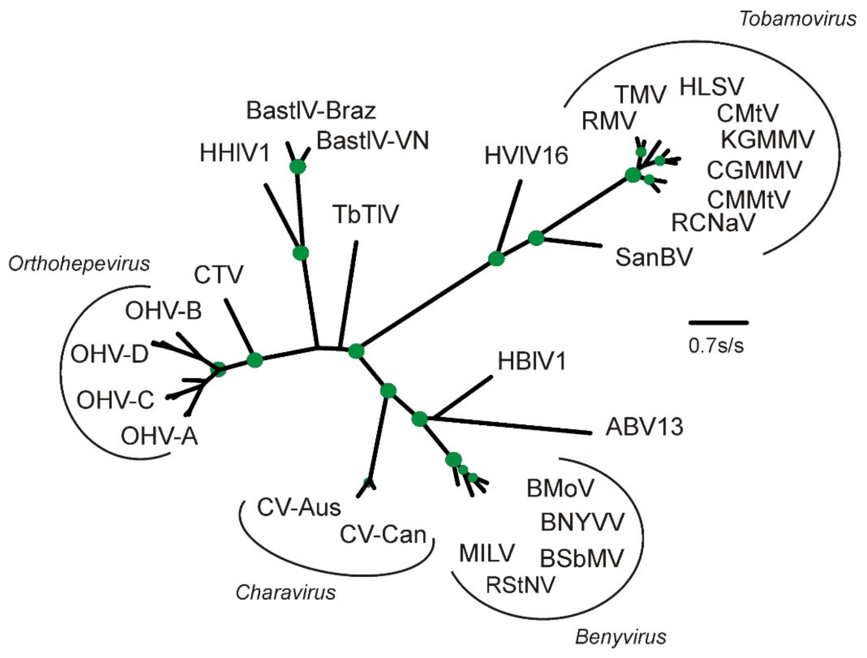 Viruses 11 00299 g002