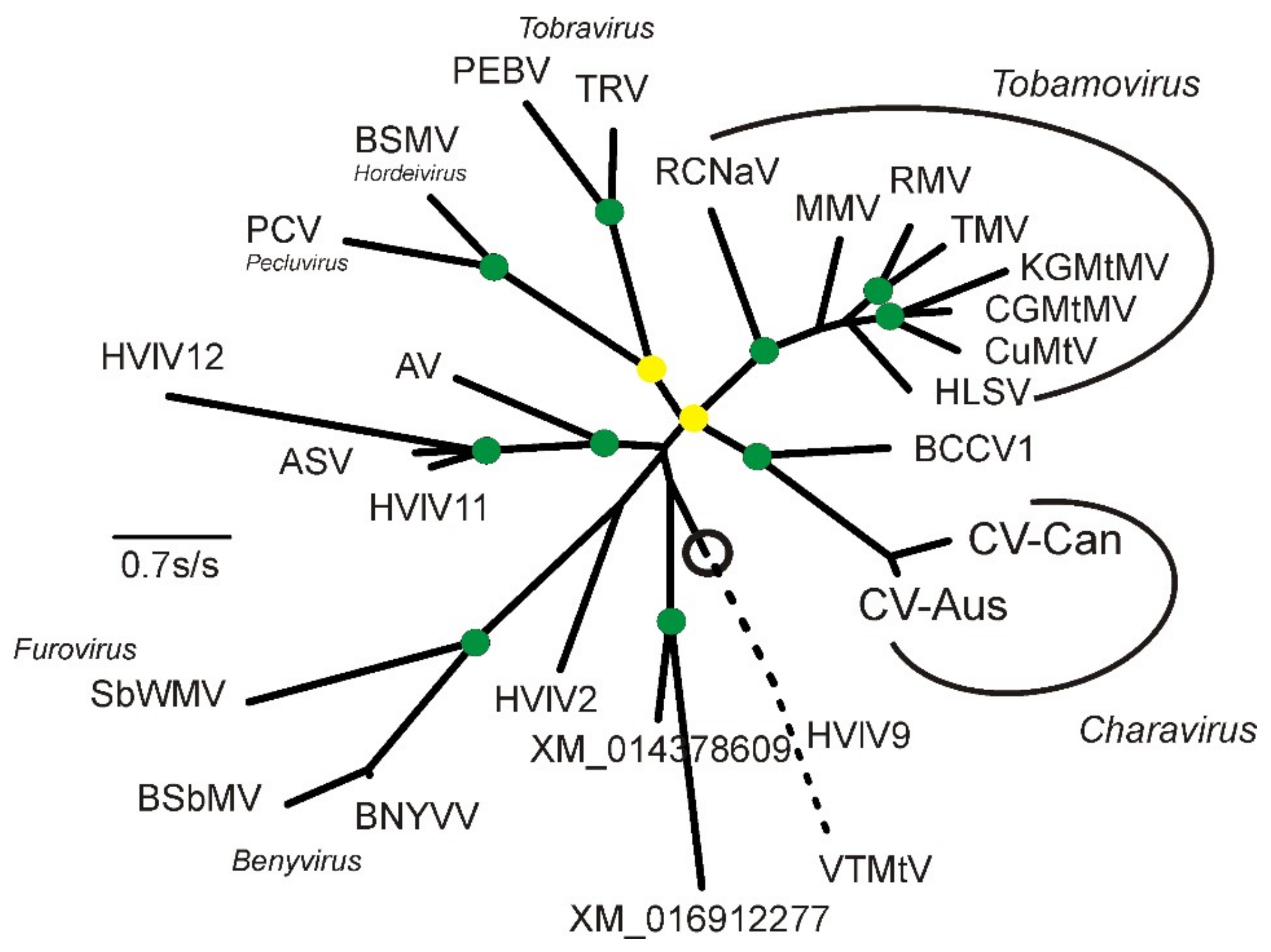 Viruses 11 00299 g003
