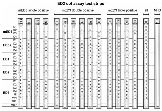 Viruses 11 00304 g0a2 550