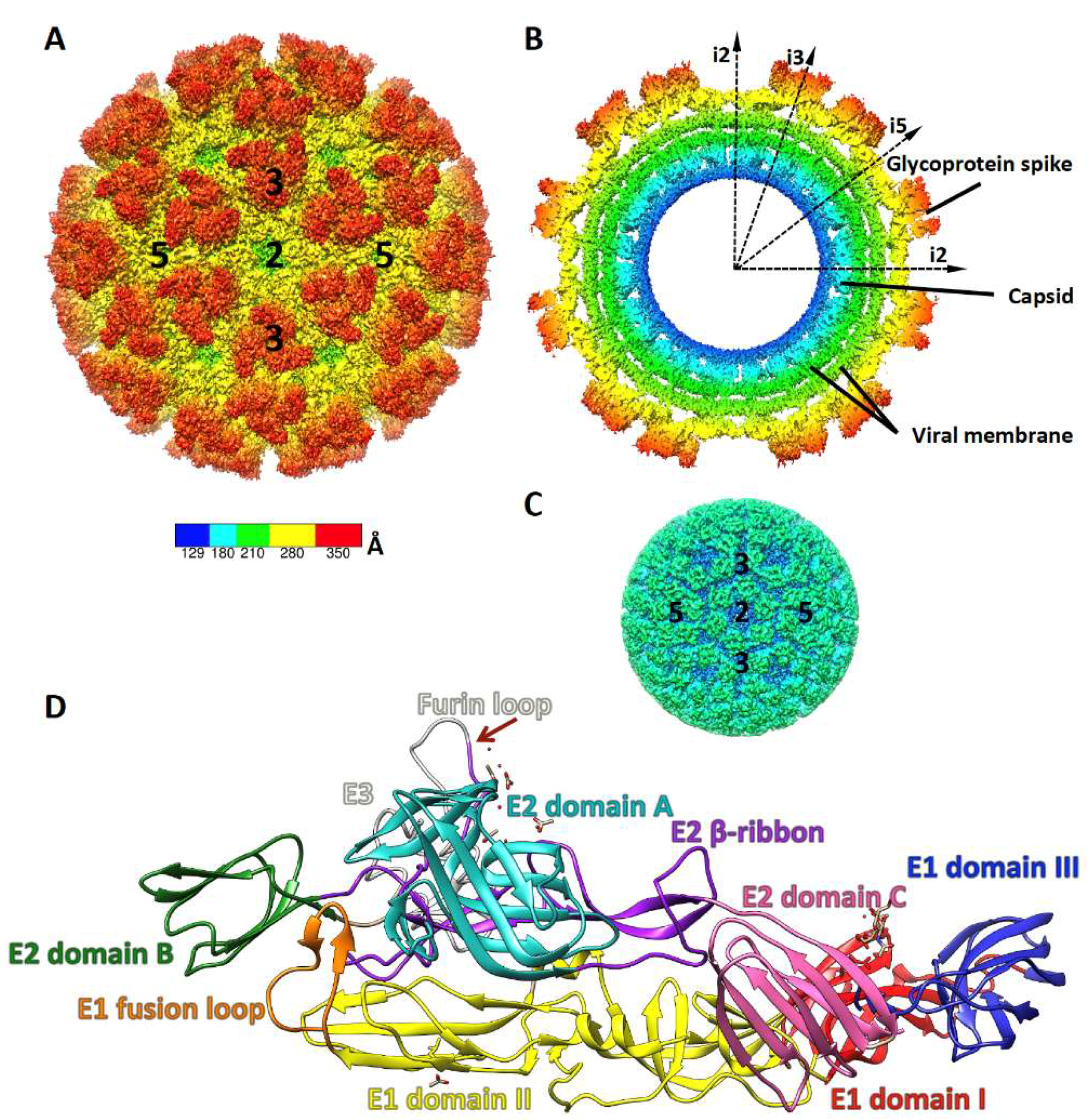 Viruses 11 00305 g001
