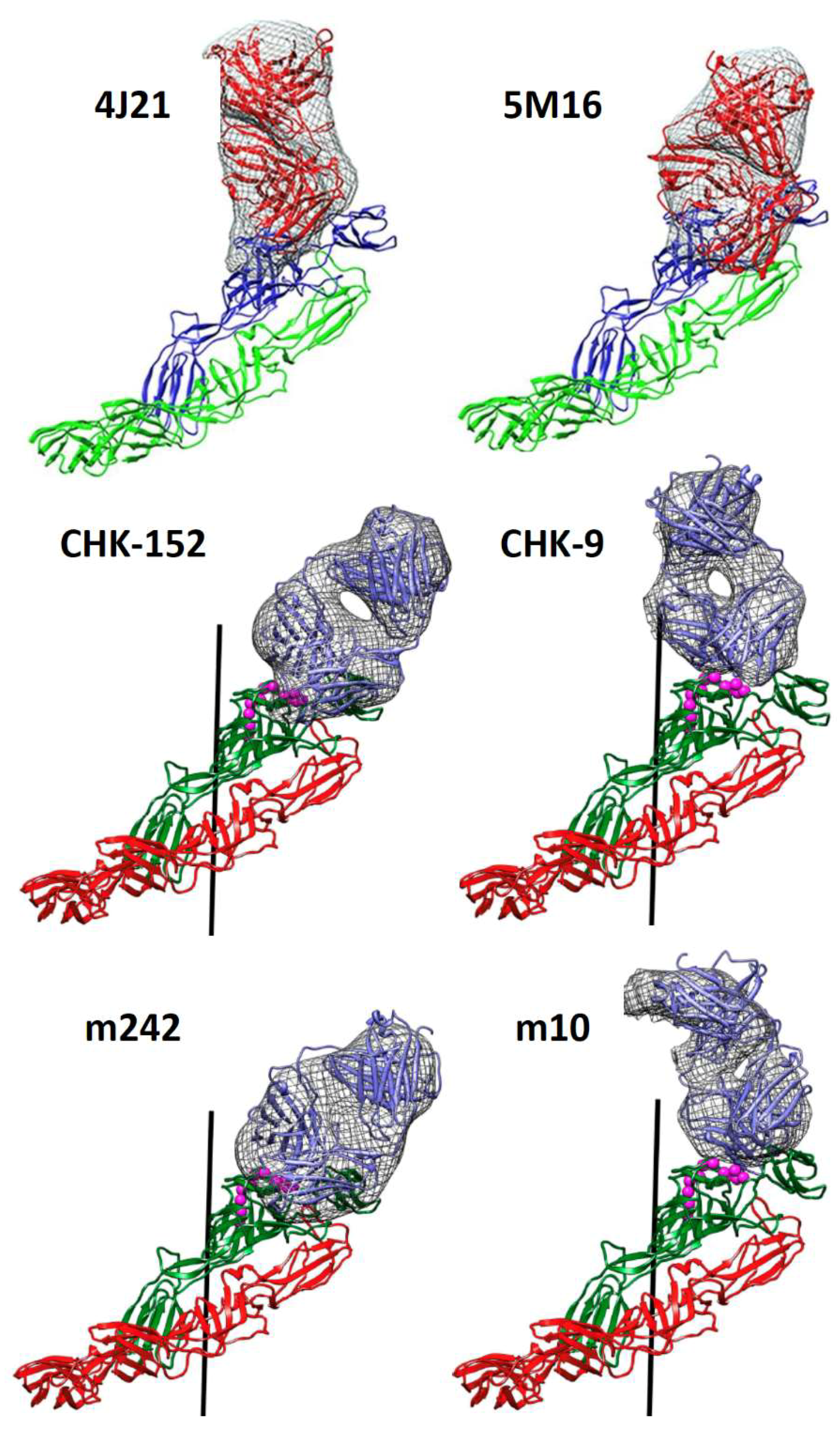 Viruses 11 00305 g002