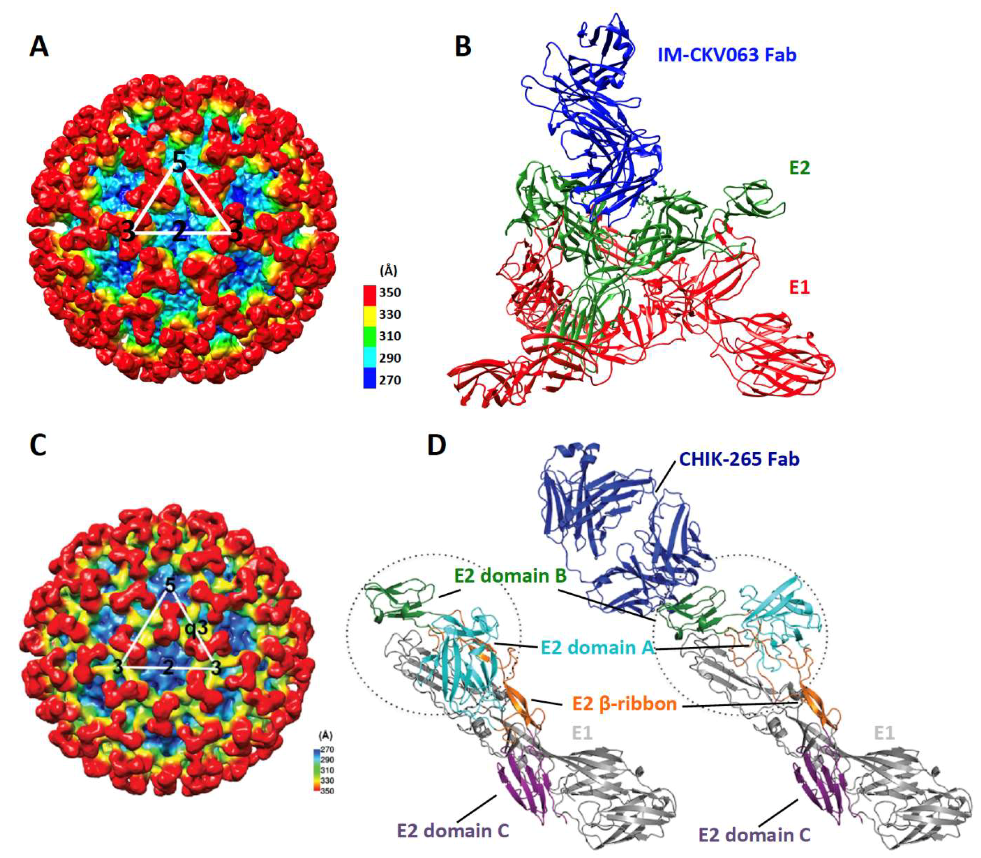 Viruses 11 00305 g003