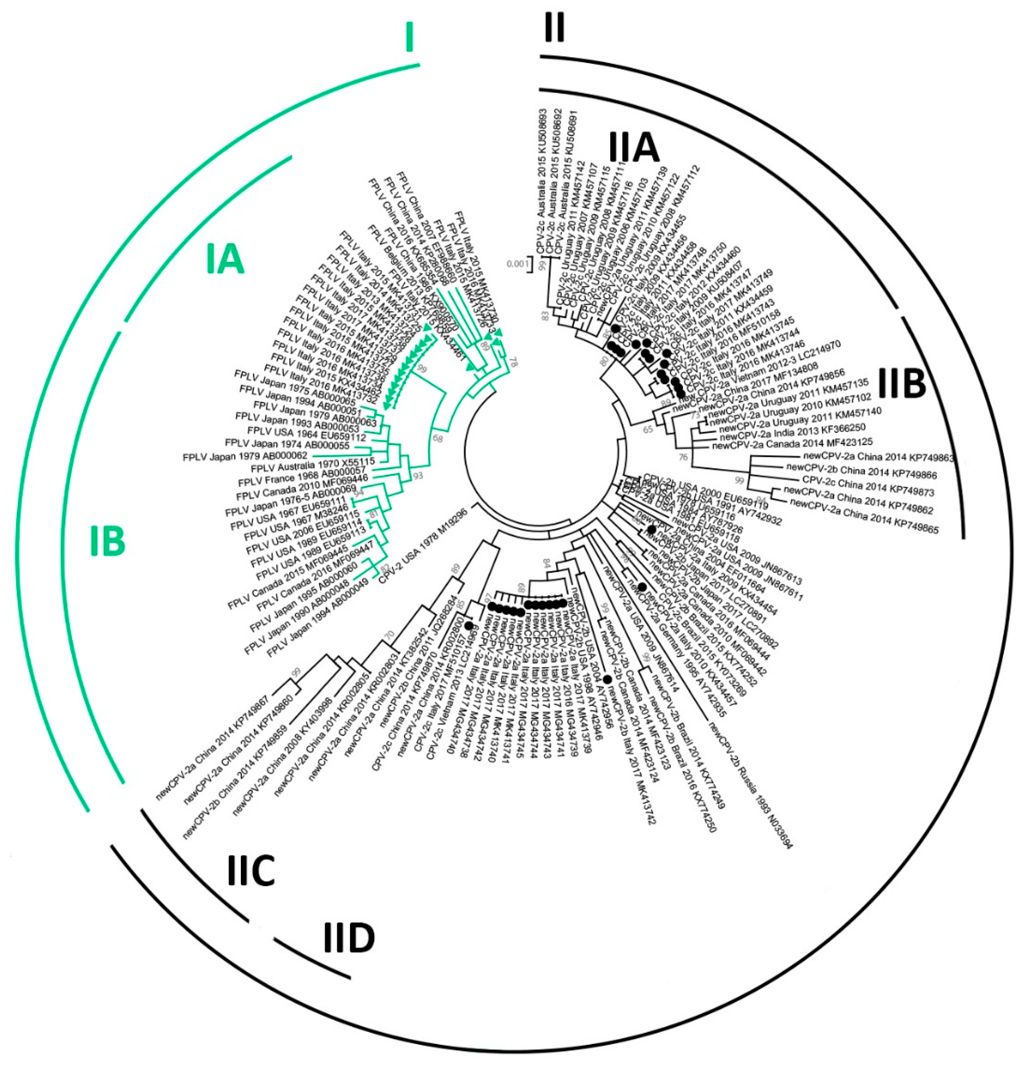 Viruses 11 00308 g001