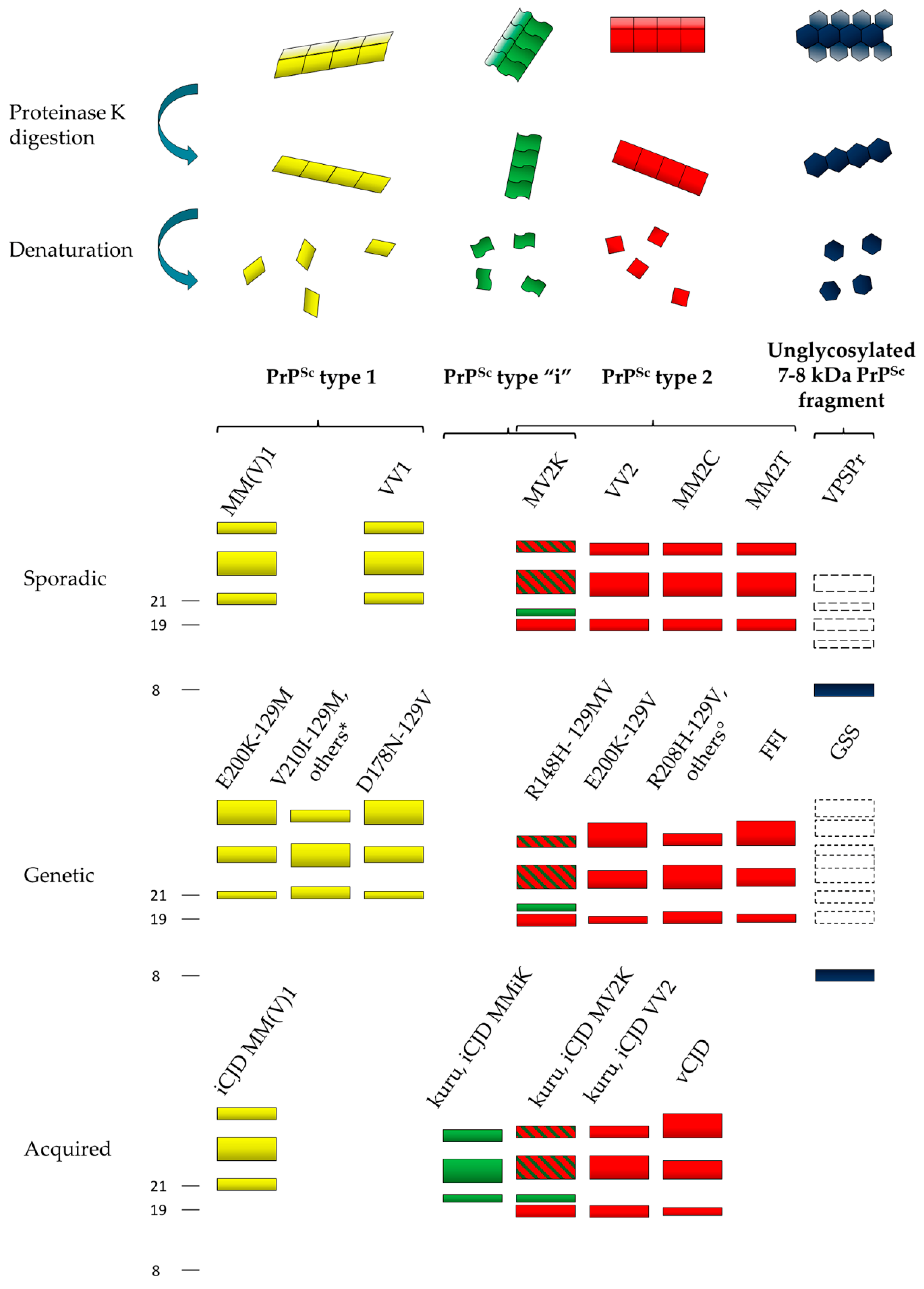 Viruses 11 00309 g001