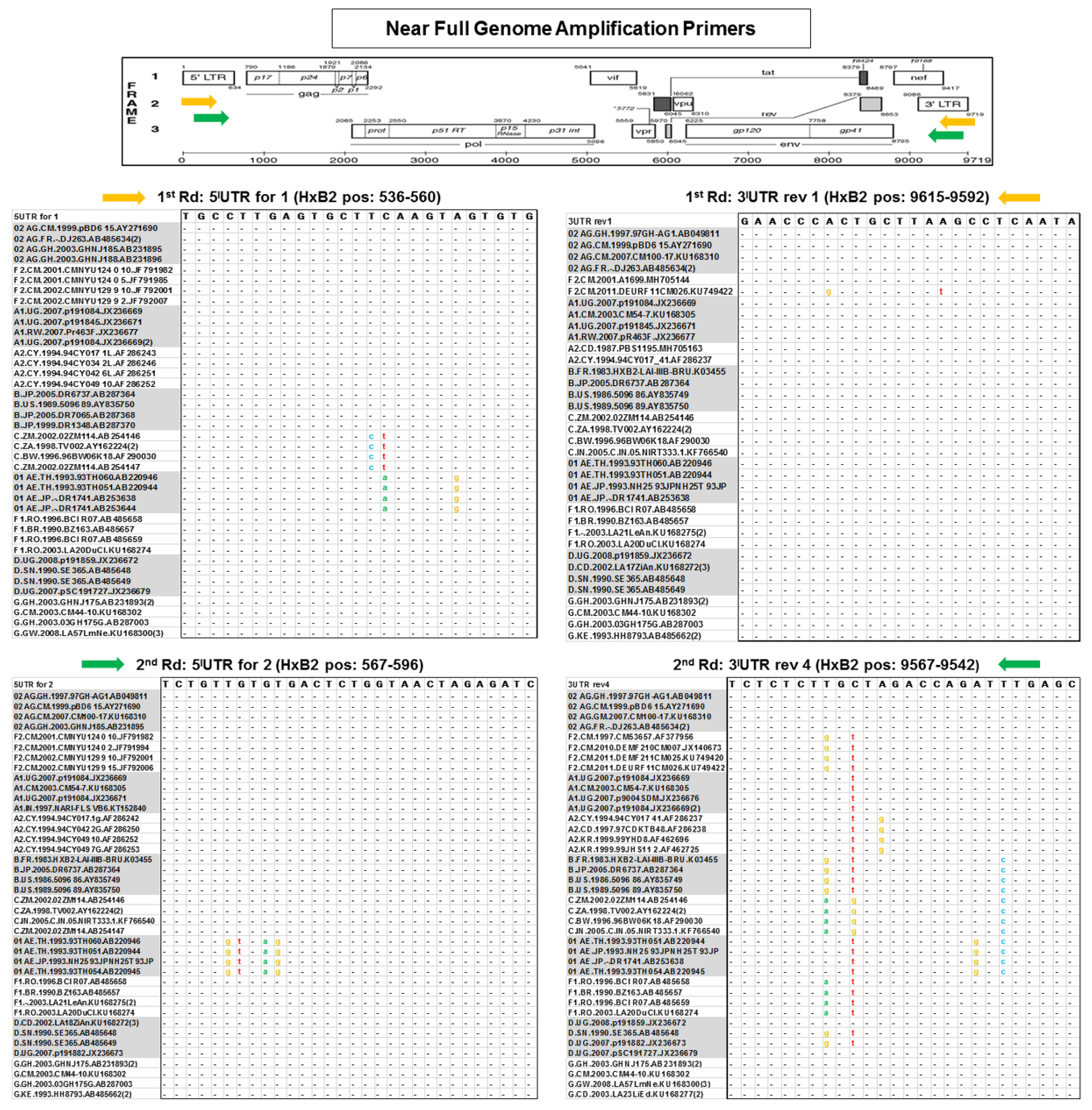 Viruses 11 00317 g002