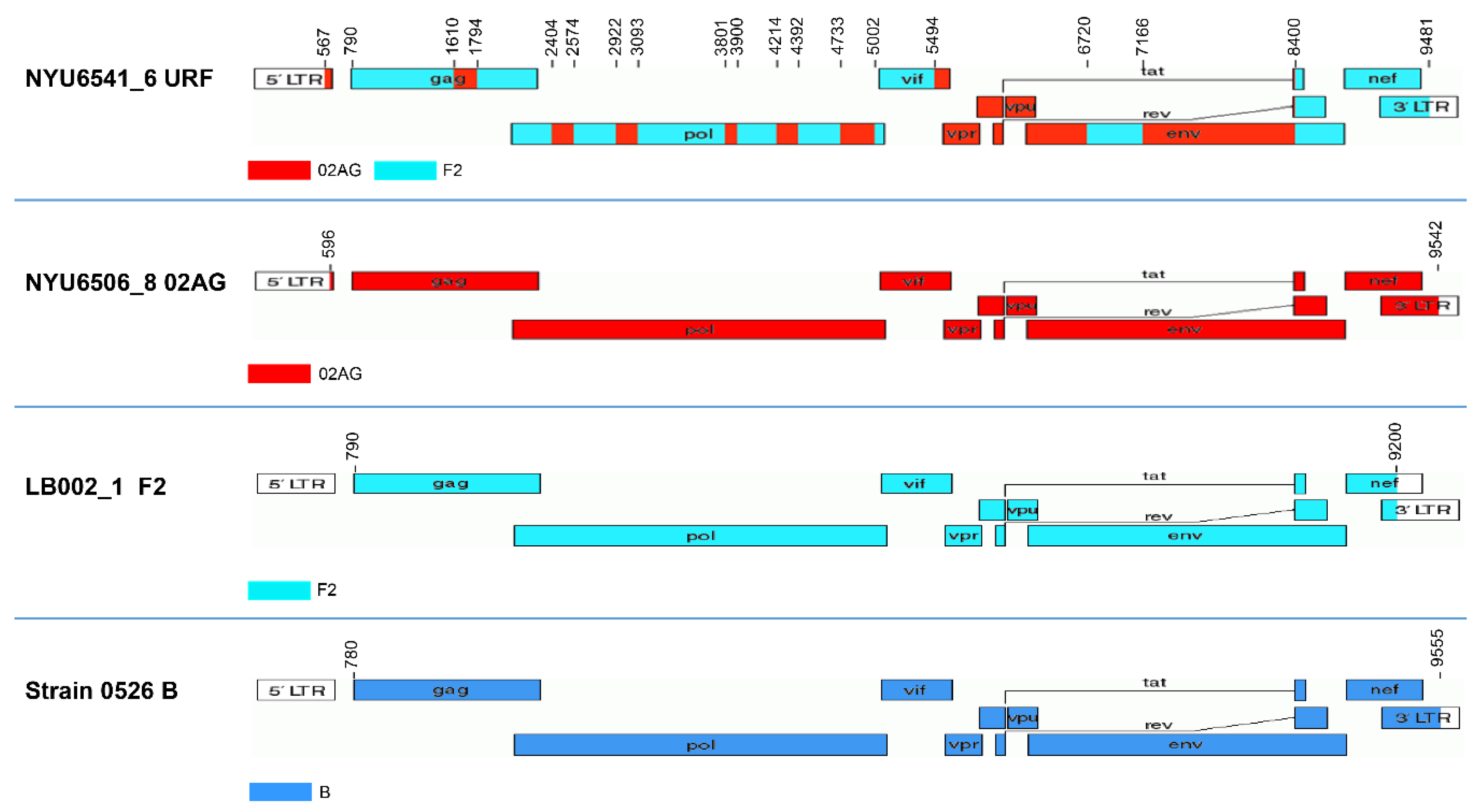 Viruses 11 00317 g004