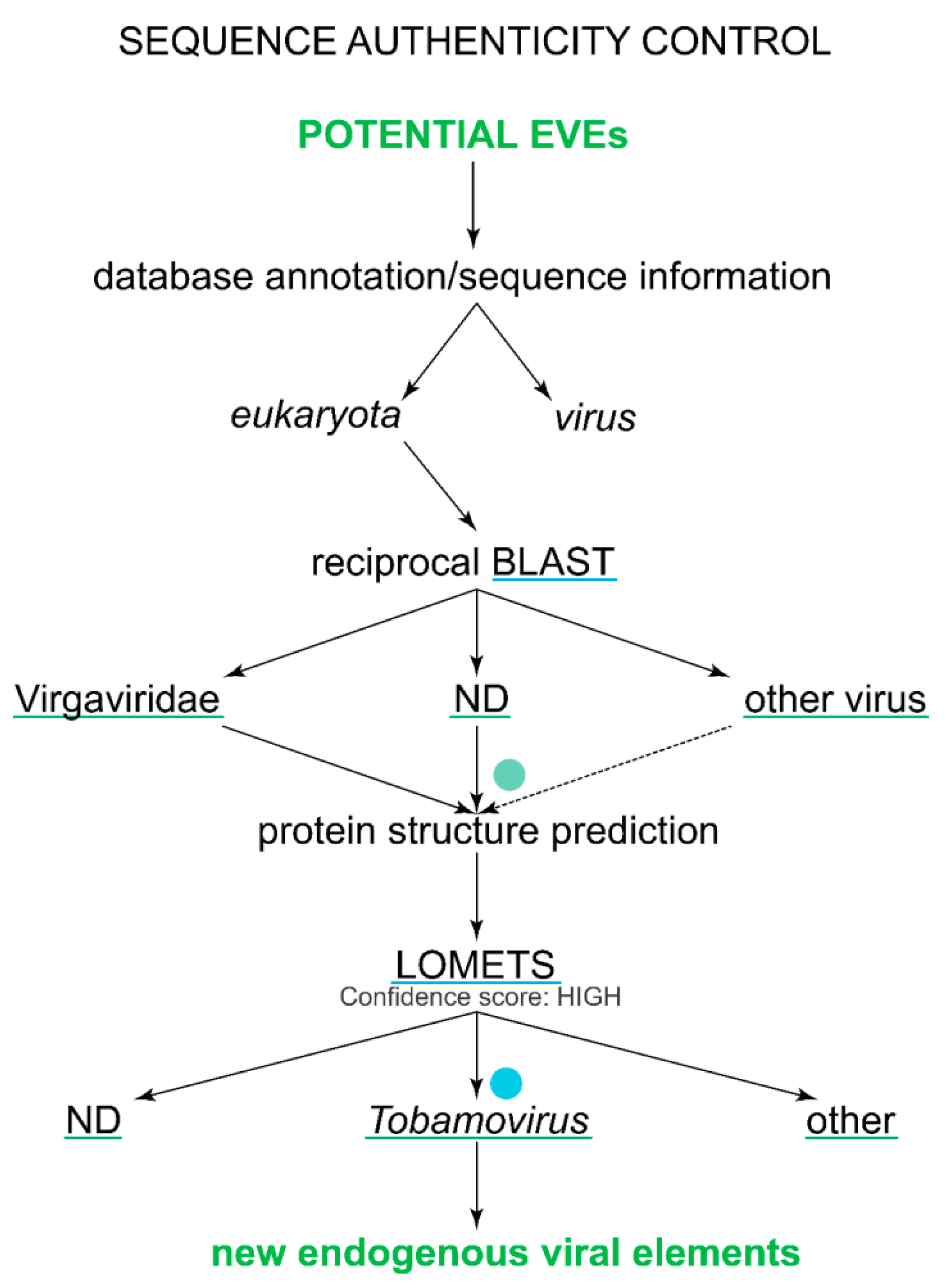 Viruses 11 00320 g002 Viruses 11 00320 g002