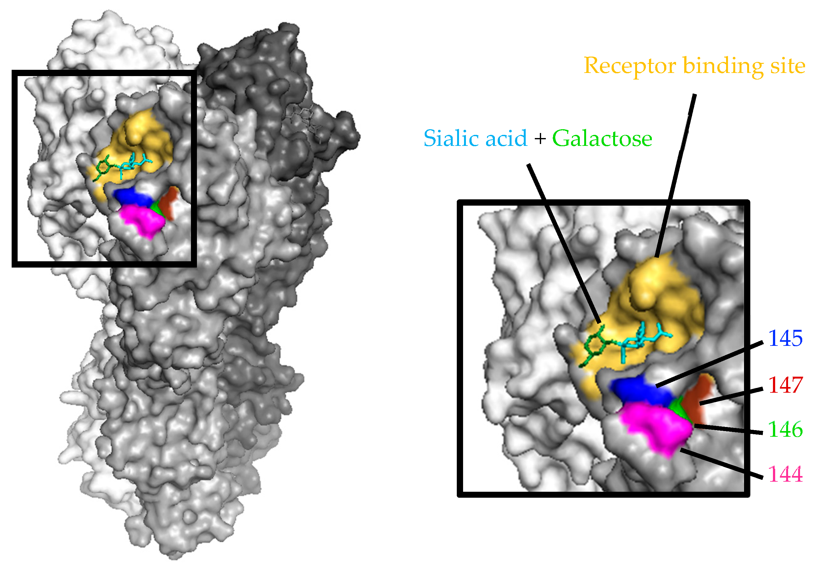 Viruses 11 00321 g001
