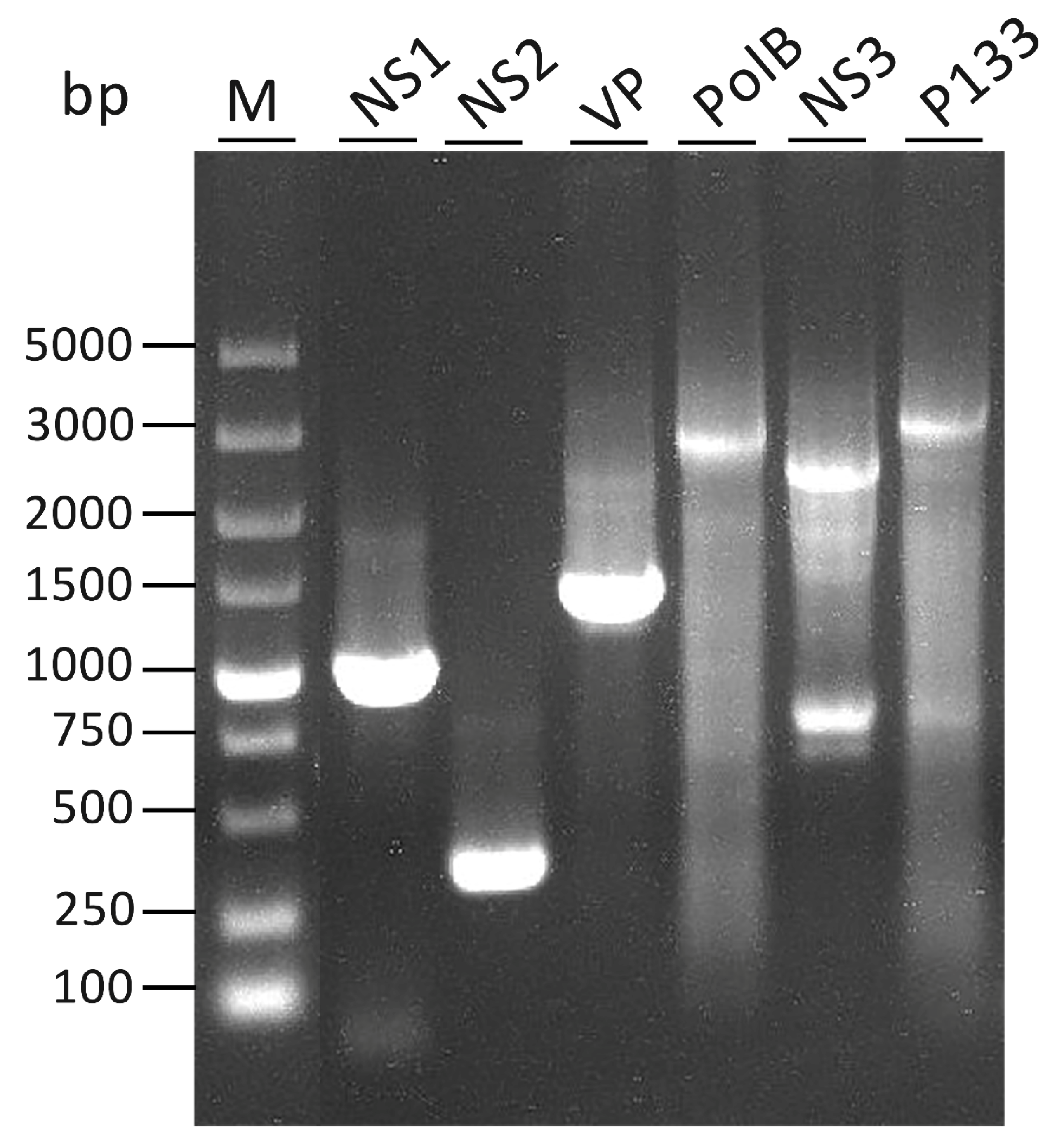 Viruses 11 00325 g001 Viruses 11 00325 g001