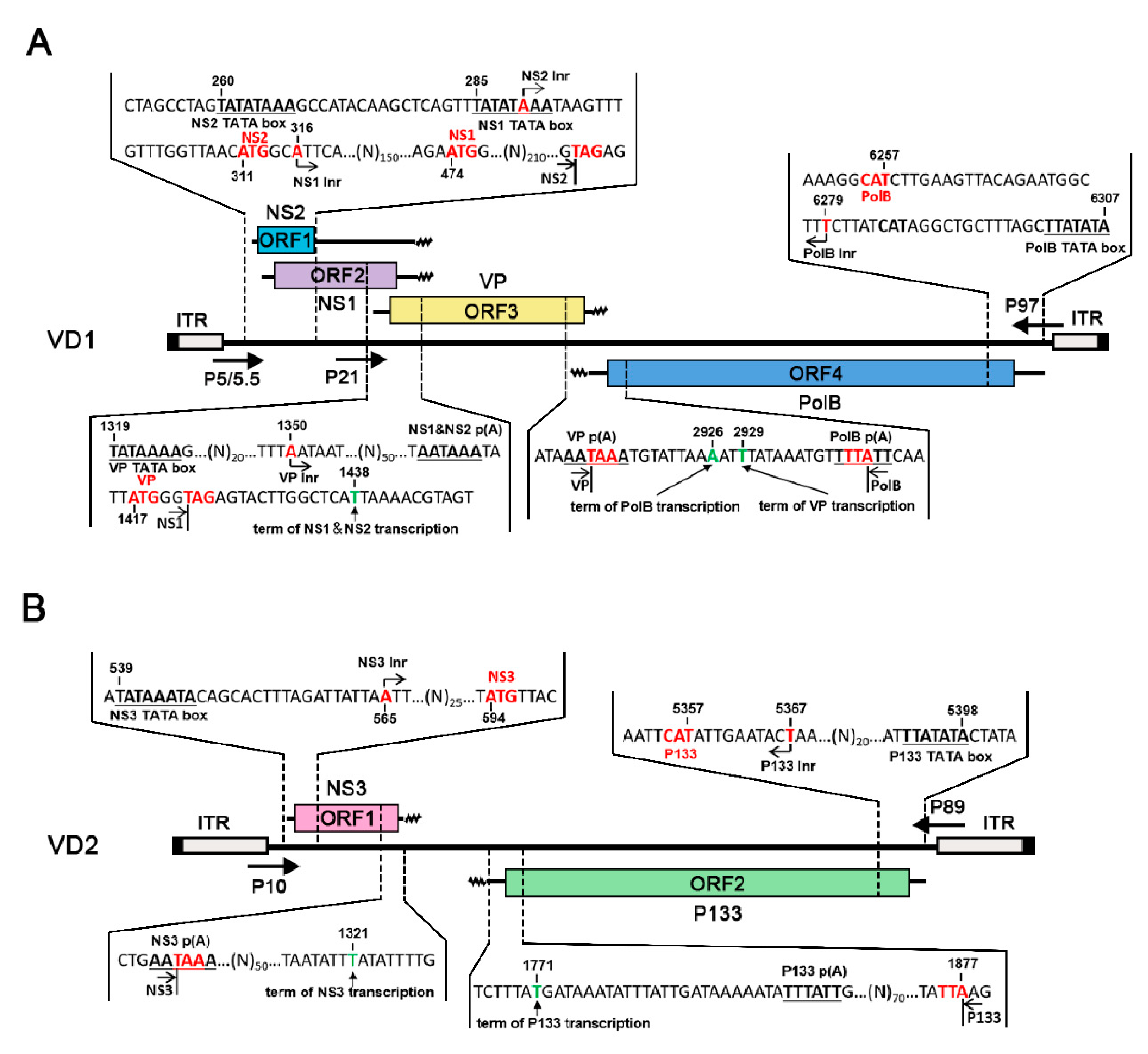 Viruses 11 00325 g002 Viruses 11 00325 g002