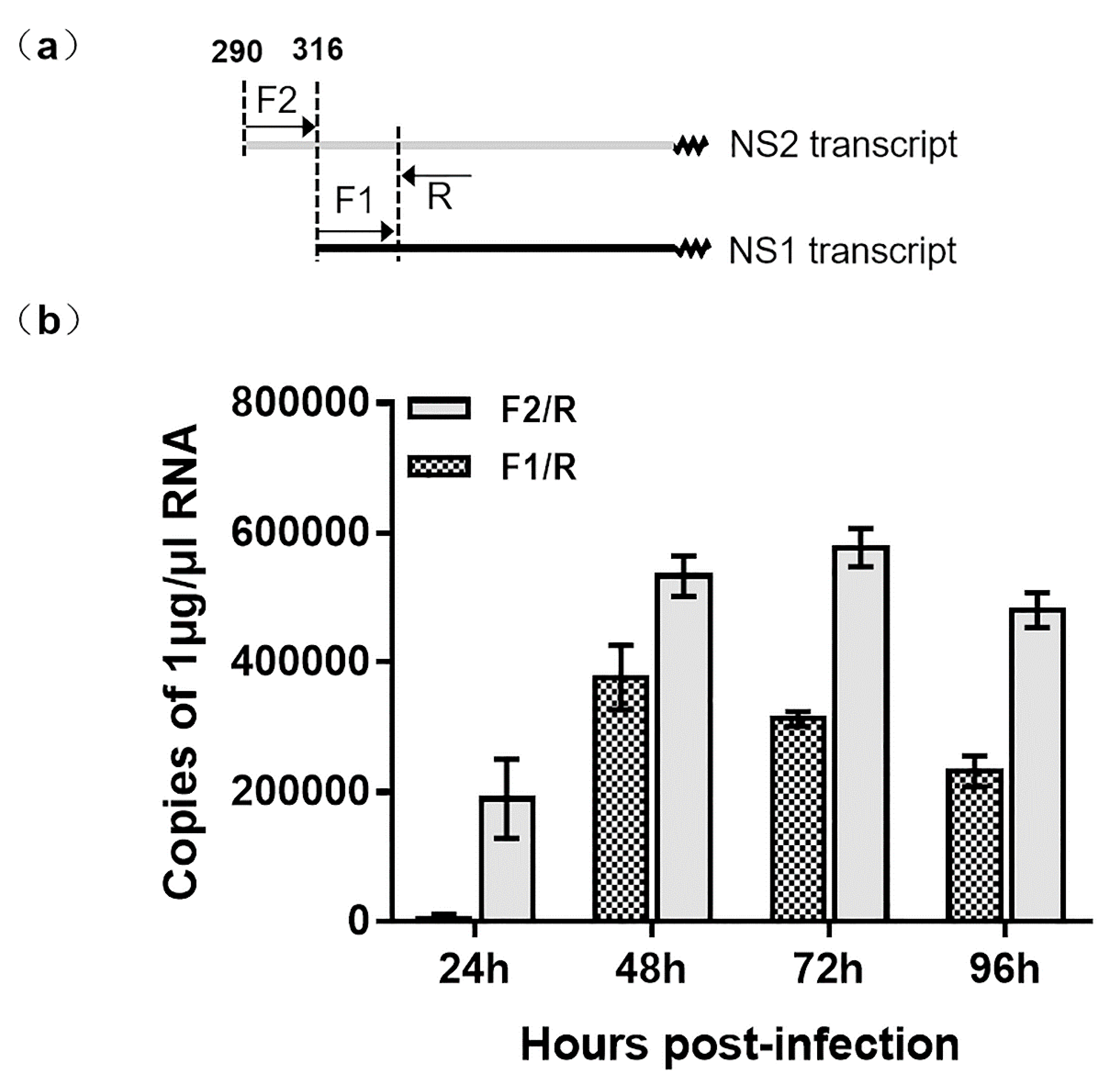 Viruses 11 00325 g003 Viruses 11 00325 g003