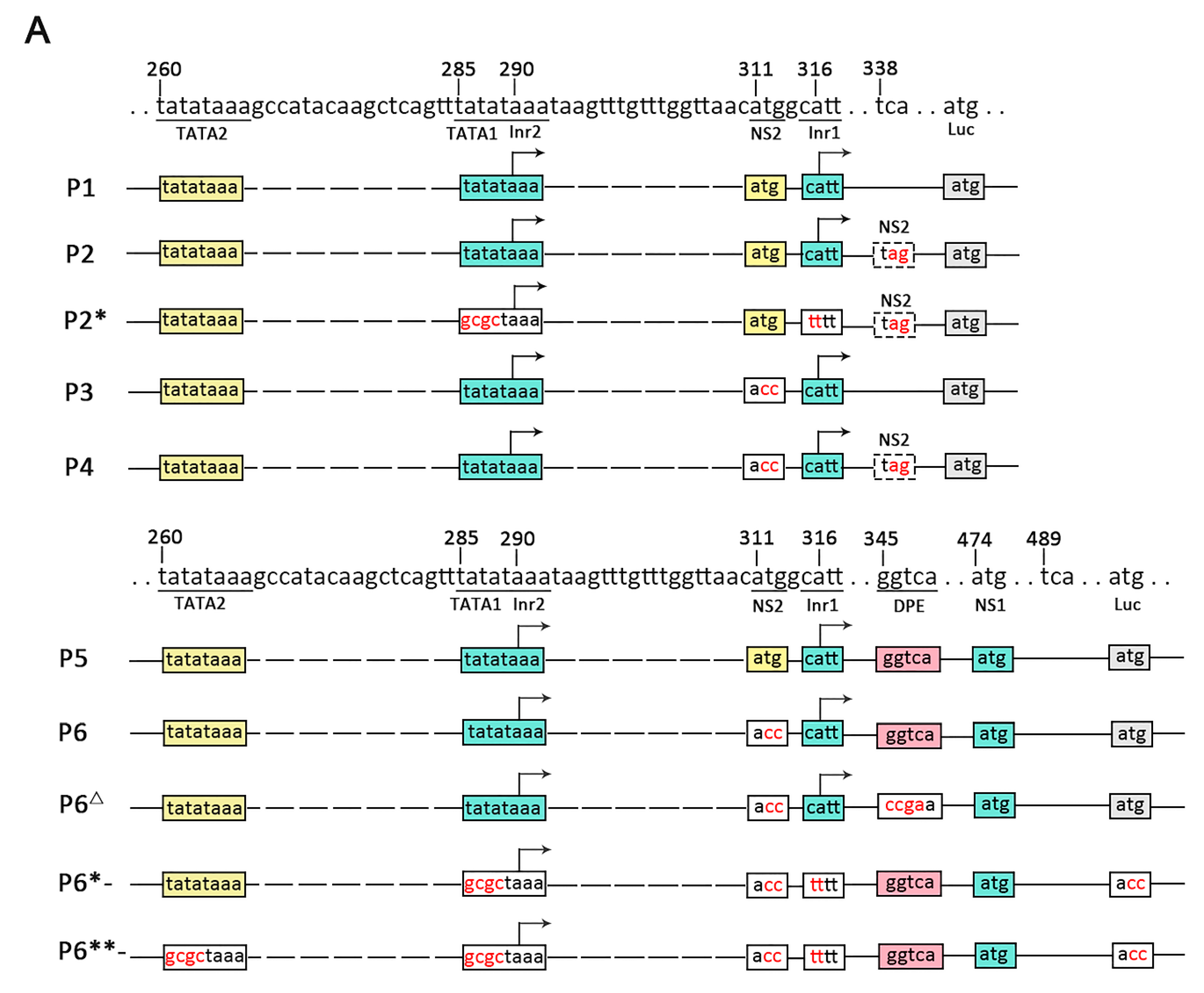 Viruses 11 00325 g004a Viruses 11 00325 g004a