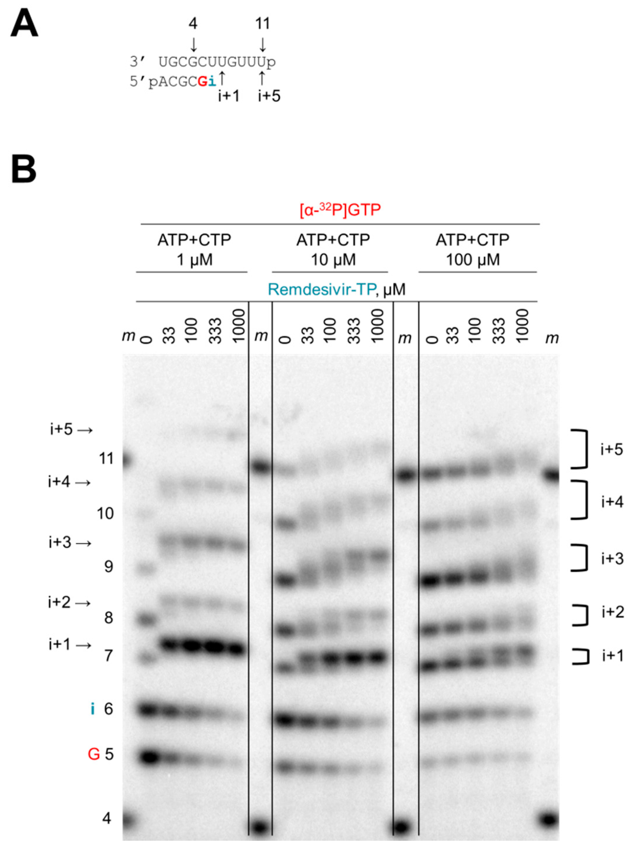 Viruses 11 00326 g002