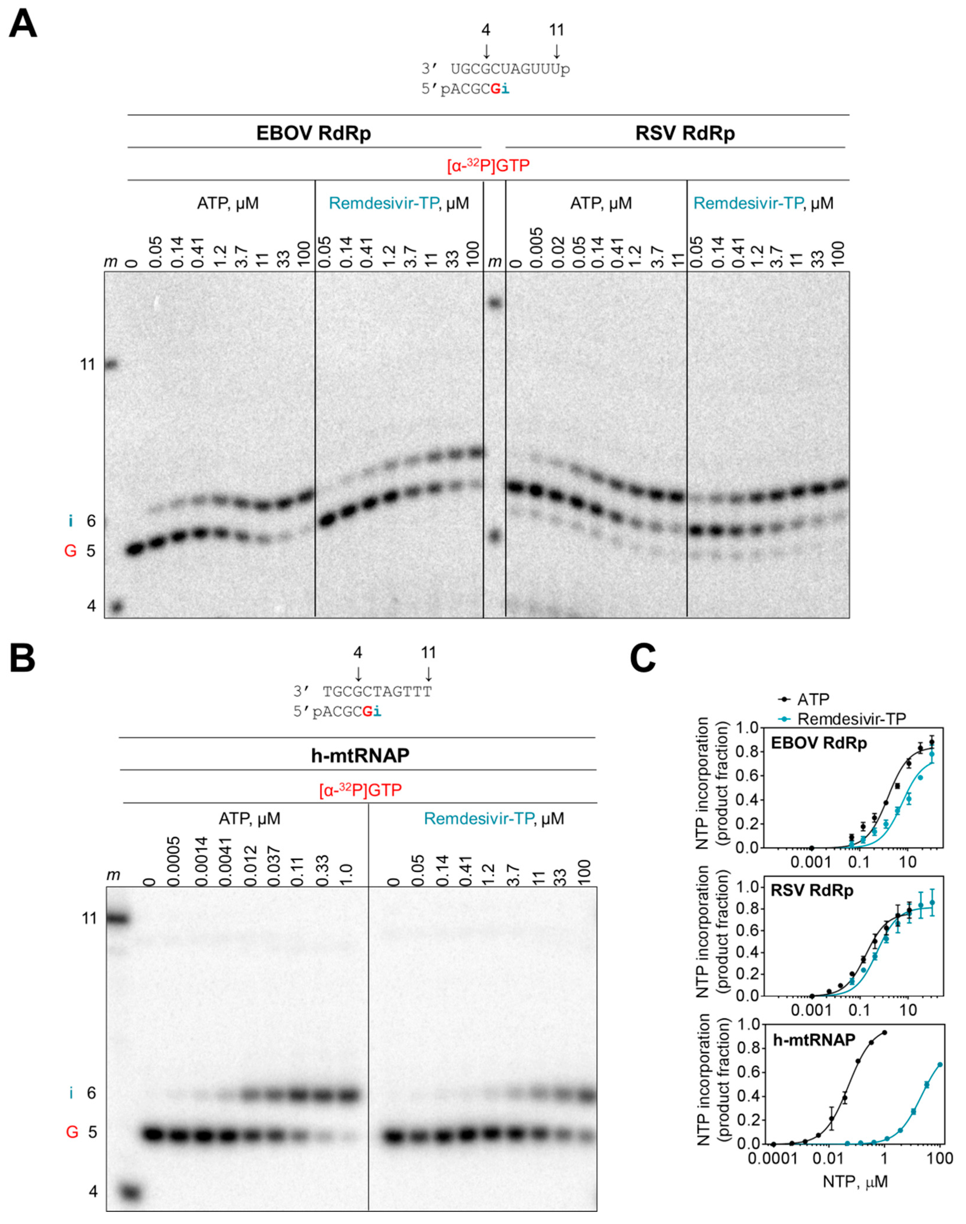 Viruses 11 00326 g003