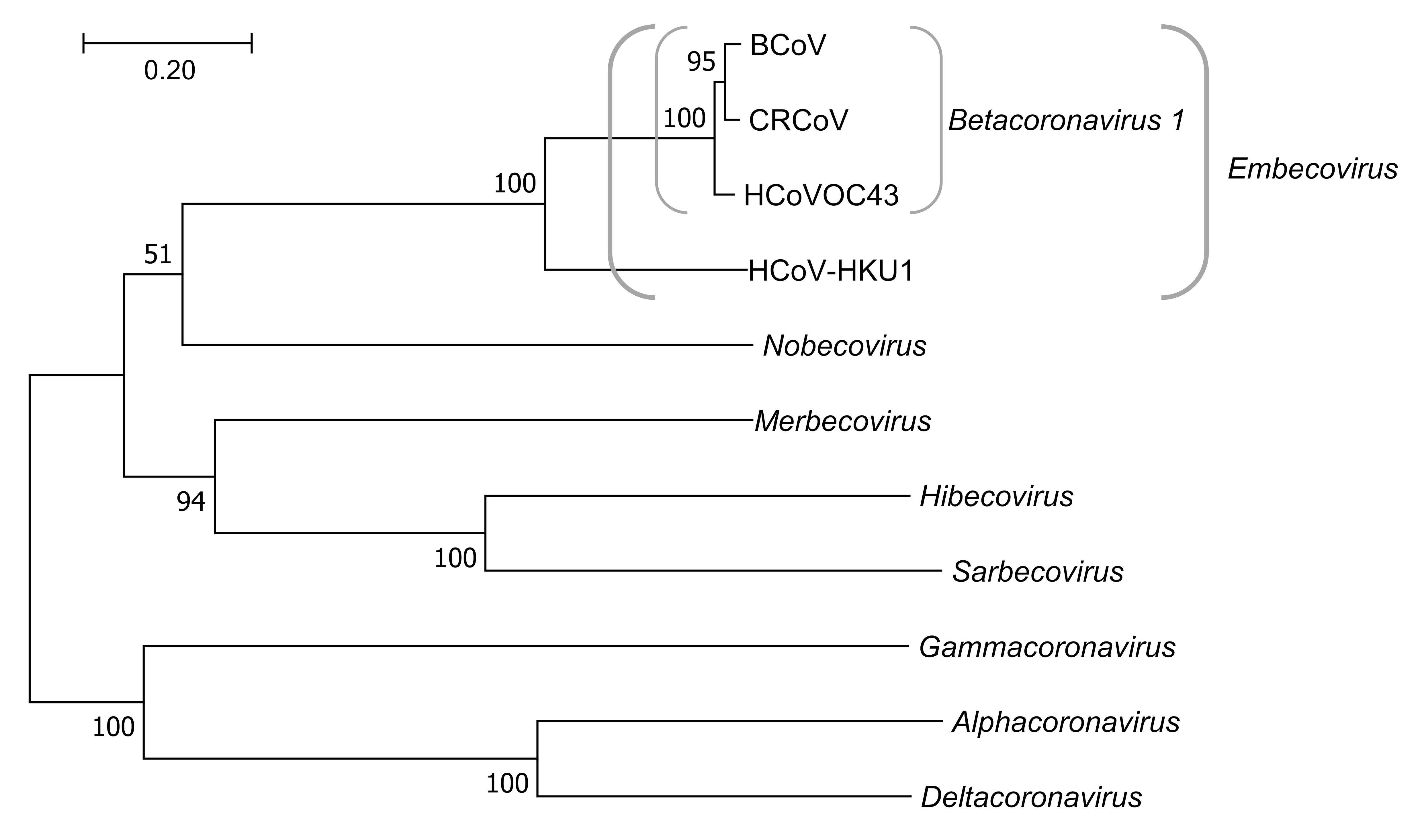 Viruses 11 00328 g001 Viruses 11 00328 g001