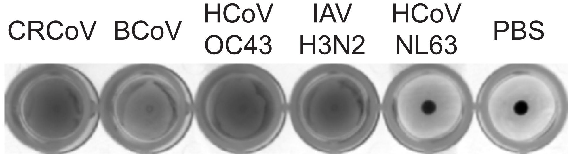 Viruses 11 00328 g002 Viruses 11 00328 g002