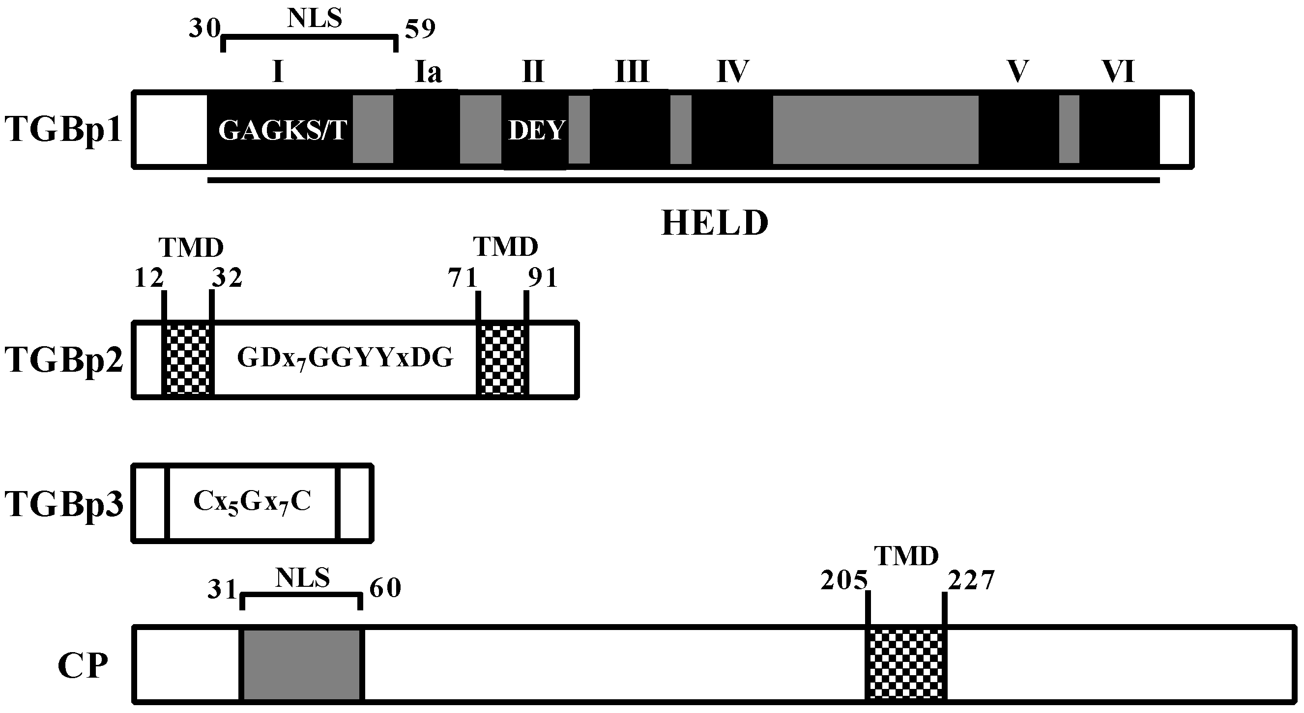 Viruses 11 00329 g001