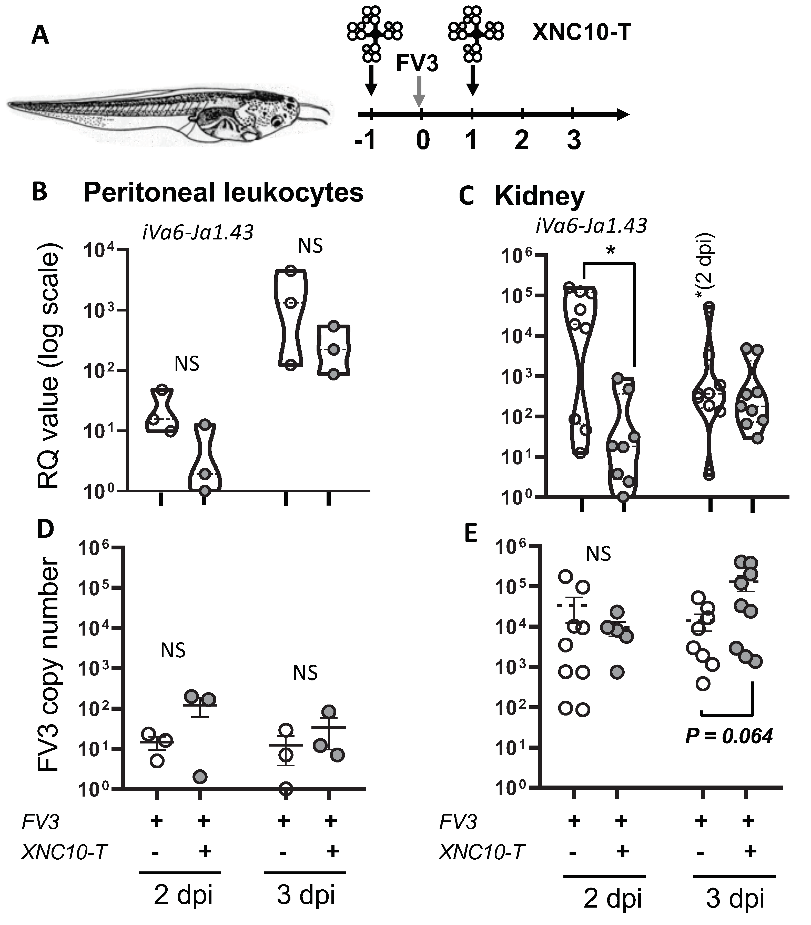 Viruses 11 00330 g004