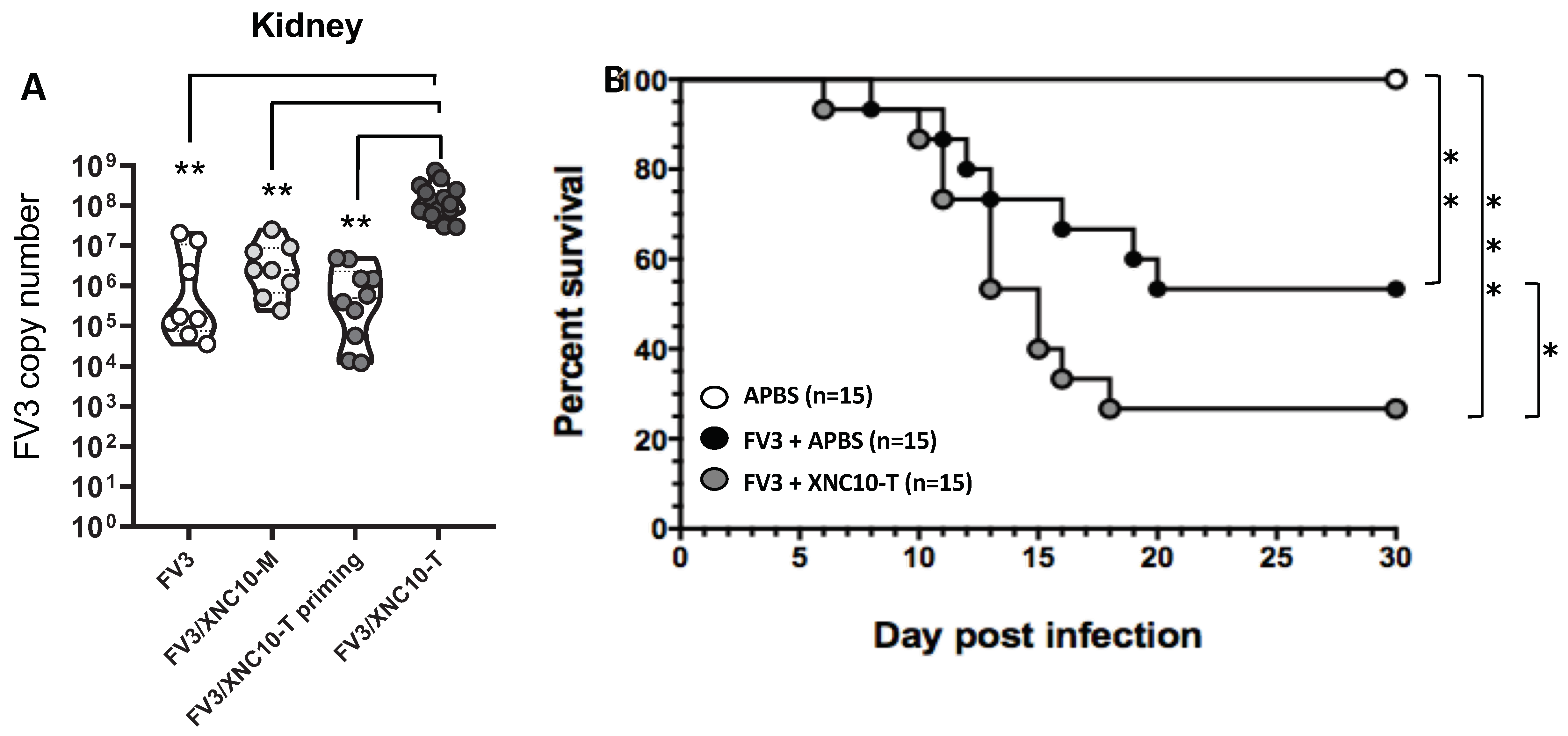 Viruses 11 00330 g005