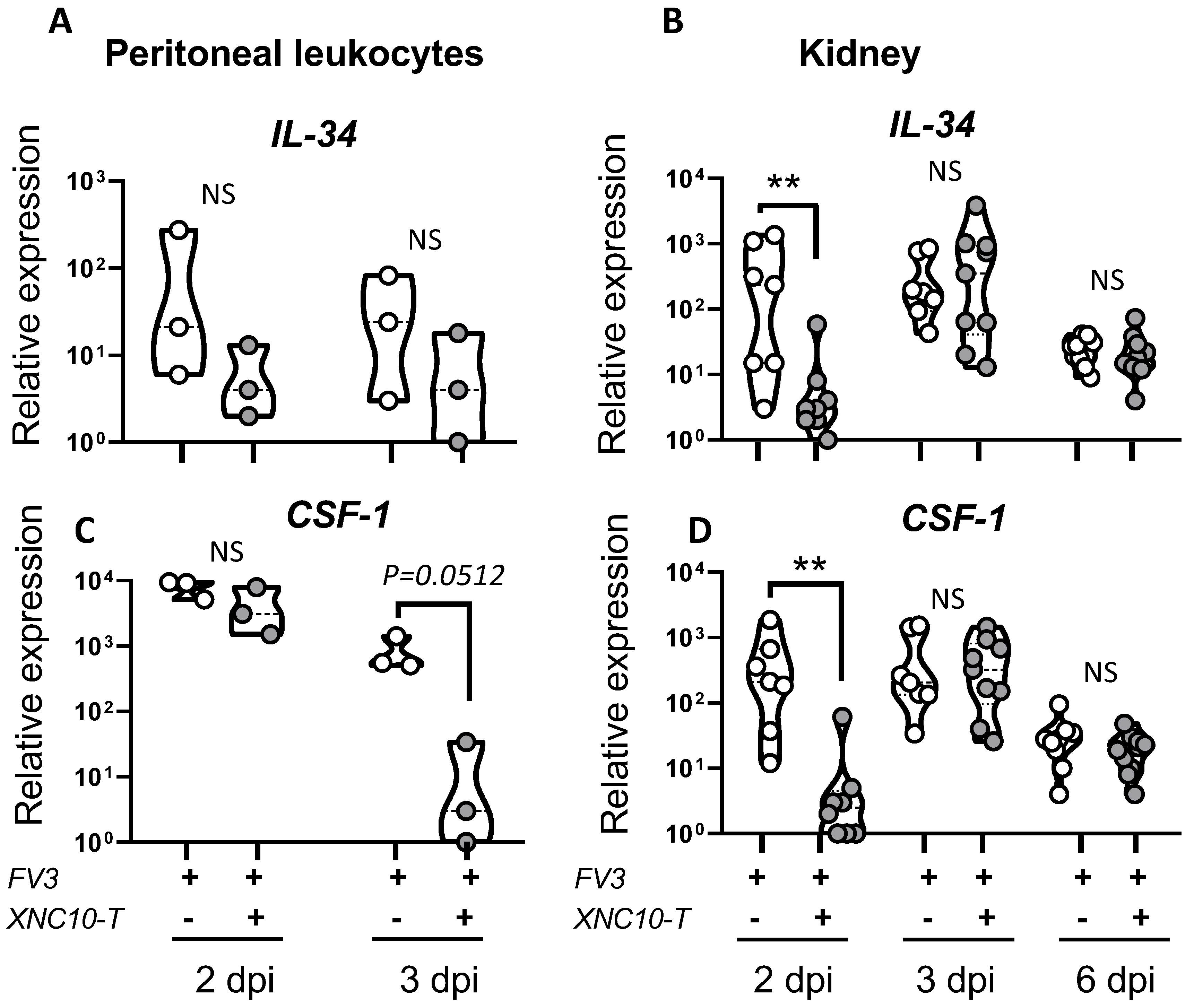 Viruses 11 00330 g006
