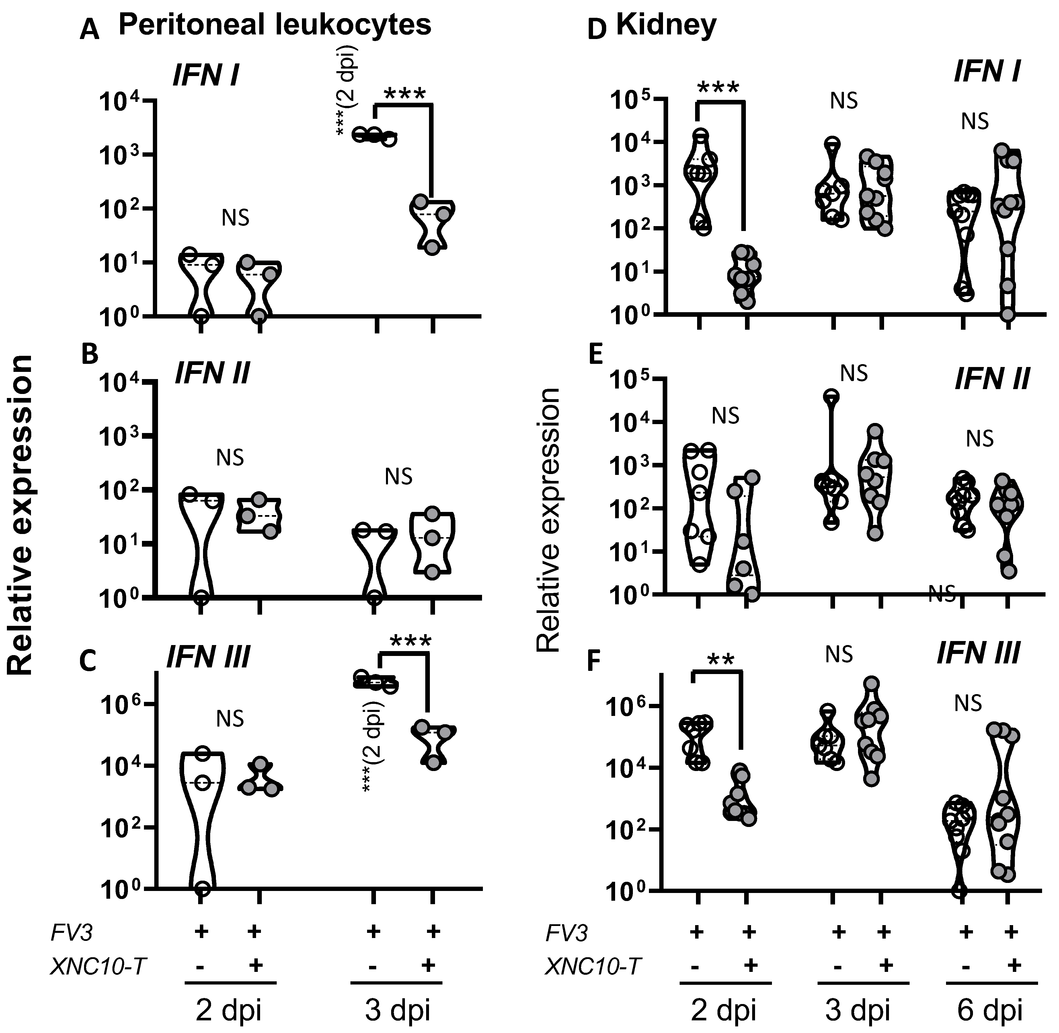 Viruses 11 00330 g007